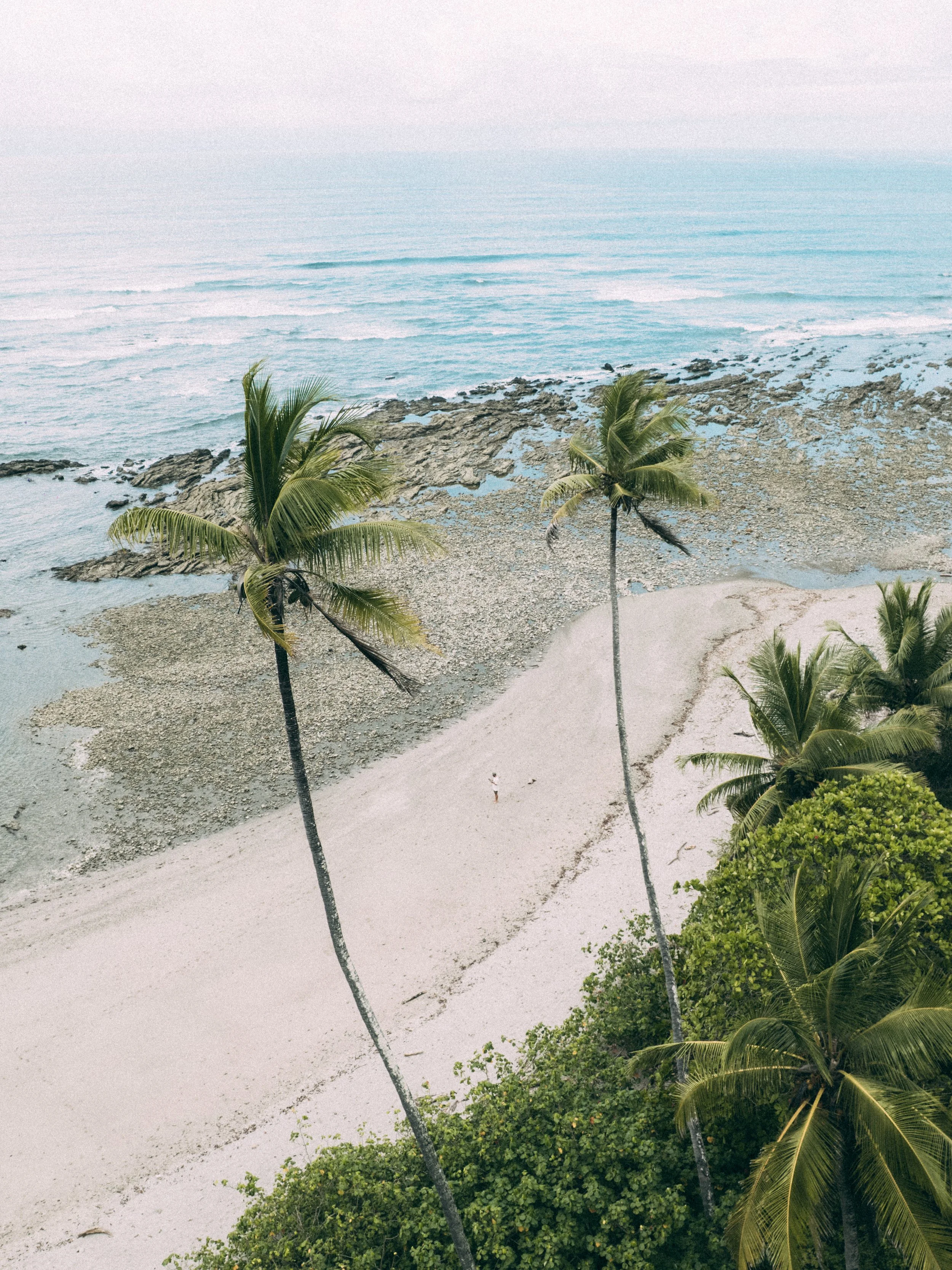DJI_0198.jpg