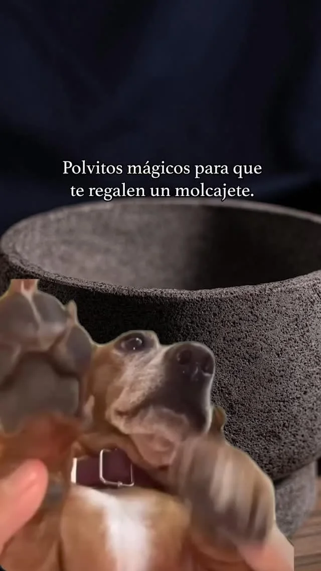 Que le lleguen estos polvitos mágicos.
#lozadepiedra #pethra #pethramx
#piedradecantera #piedravolcanica #recinto
#recintovolcanico #molcajetes
Foto. FORO2.8ac