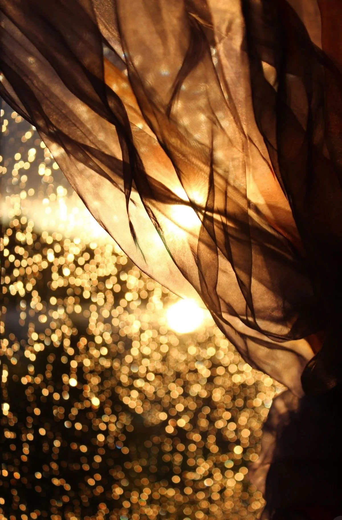 When God Pulls the Plug: What Happens After a Weekend of Revelation