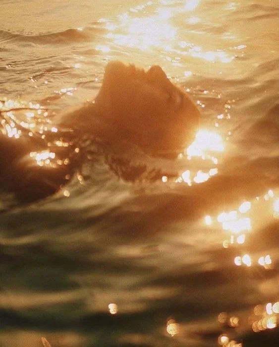 I Did Not Come Back the Same: The Seven-Month Metamorphosis No One Saw Coming