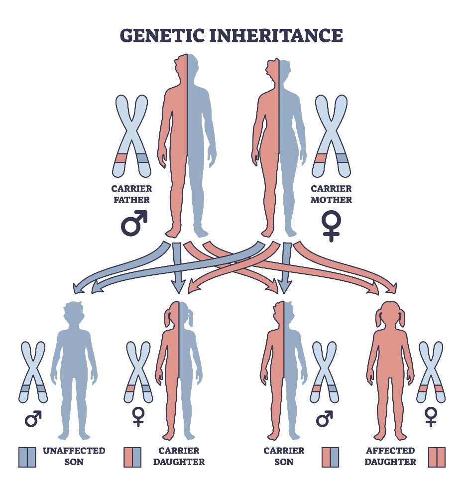 How Does a Diagnosis Affect Family Planning? 