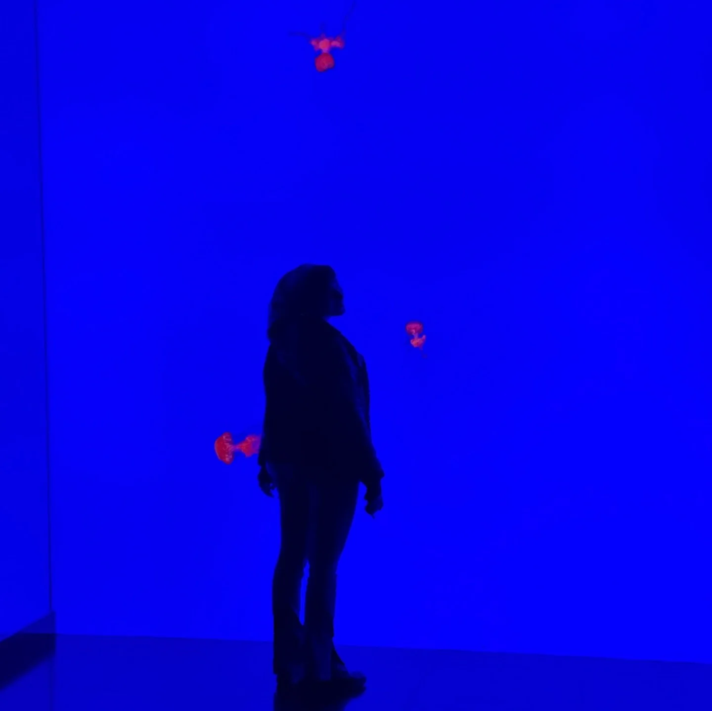 good music I&rsquo;ve shot recently / cute pics dump

Featuring
1. @deankingmusic &amp; @dannymac_music 🍁
2. @sonneofficialband ☀️
3. @soyounglive crowd at squid 🕺🏼
4. @design.fault❔ 
5. @squidbanduk 🦑