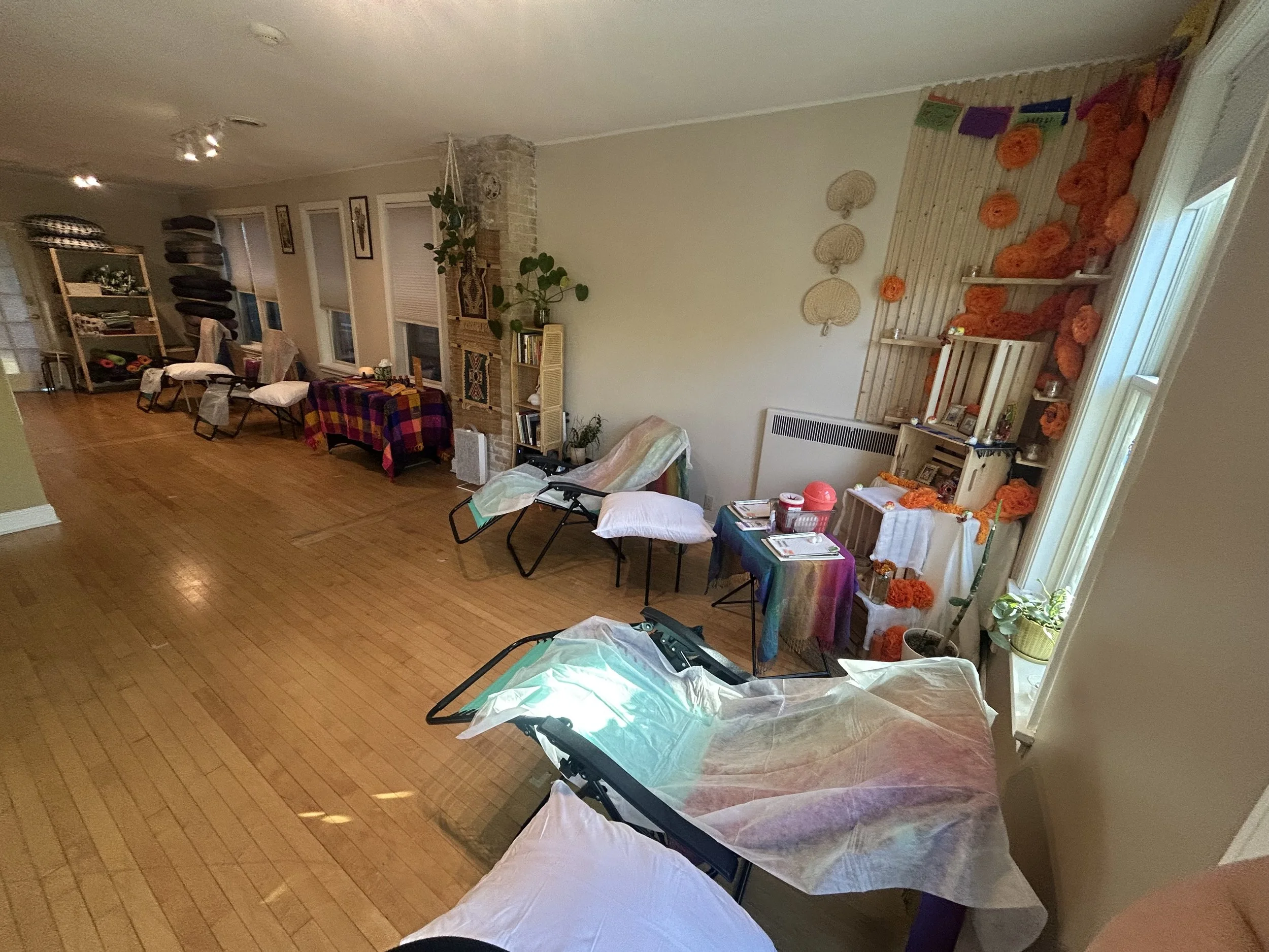 Affordable Wellness: Community Acupuncture with Earth Medicine 