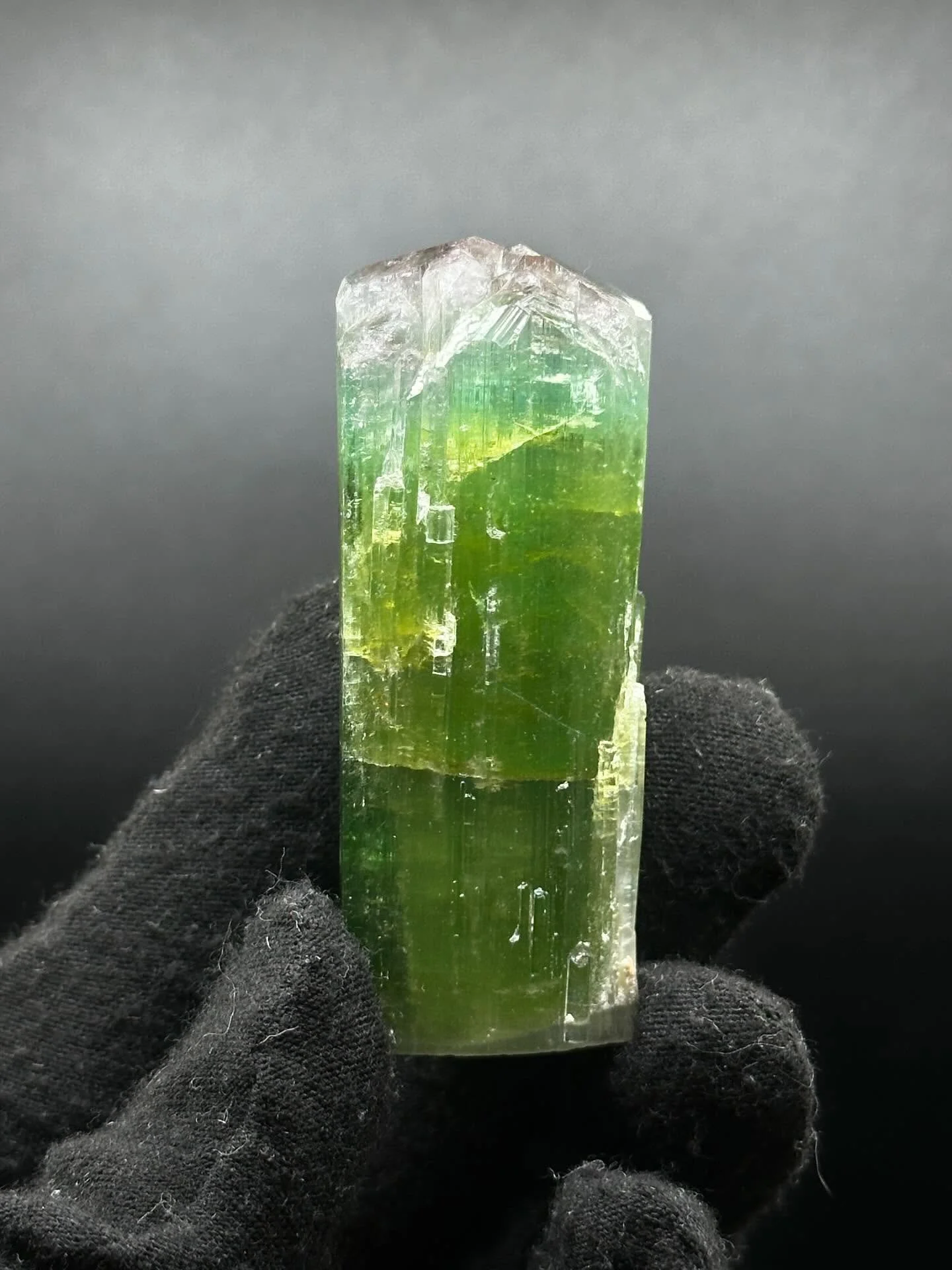 64g Tri-Color double terminated Tourmaline from Afghanistan. A vibrant, naturally formed crystal showing three distinct colors that blend beautifully from one end to the other. Its strong saturation and clean crystal faces highlight the beauty of Afg