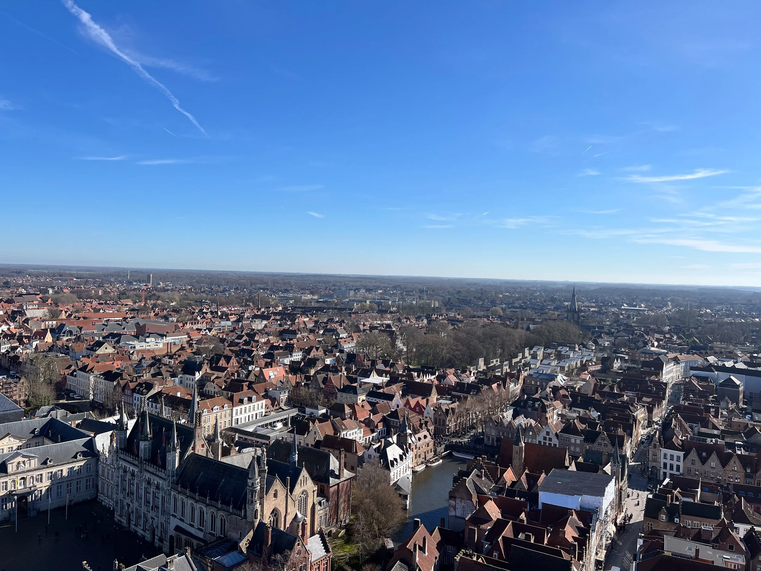 20260225-122451.jpg