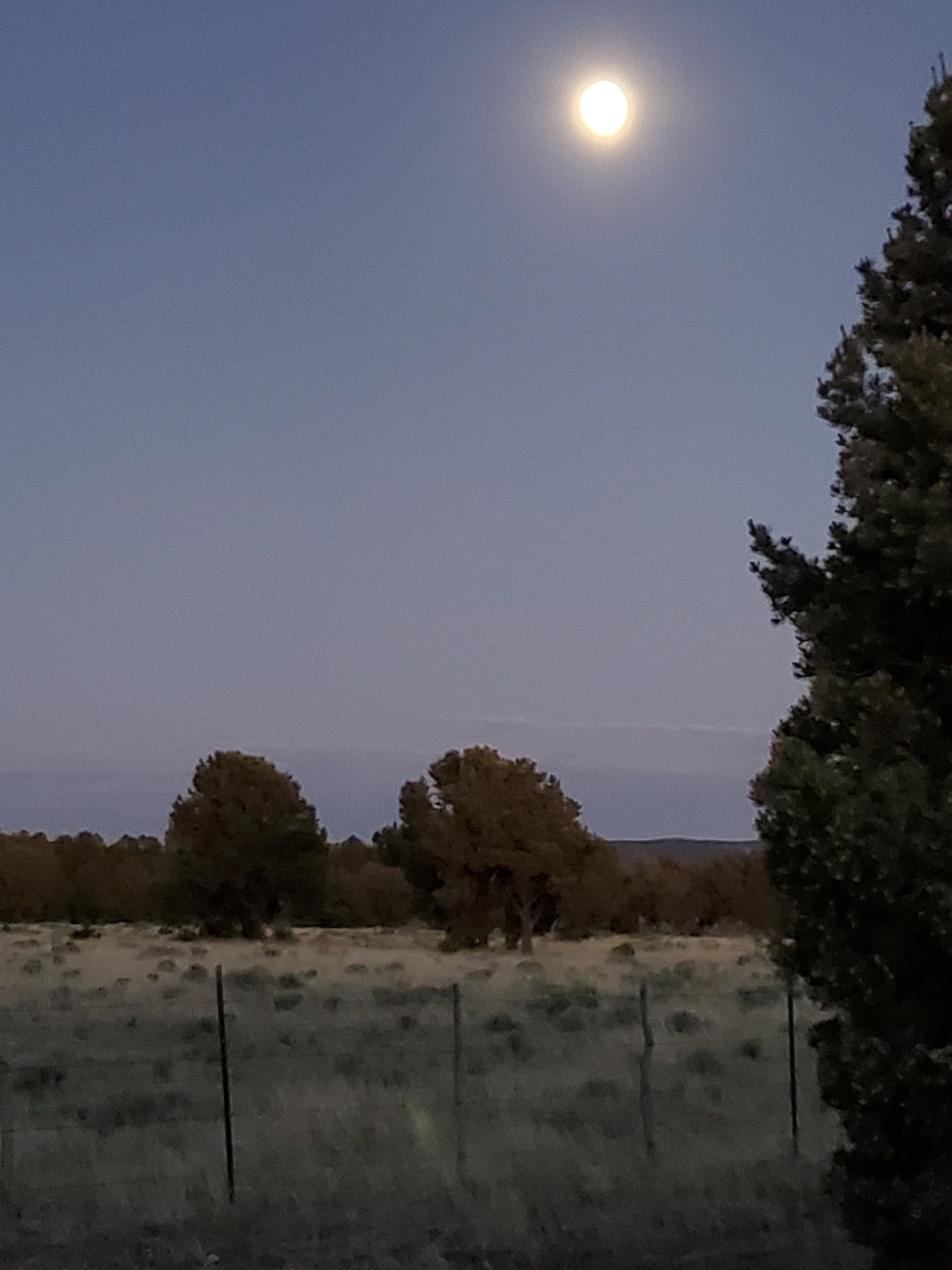 Looking east over Gila National Forest Land