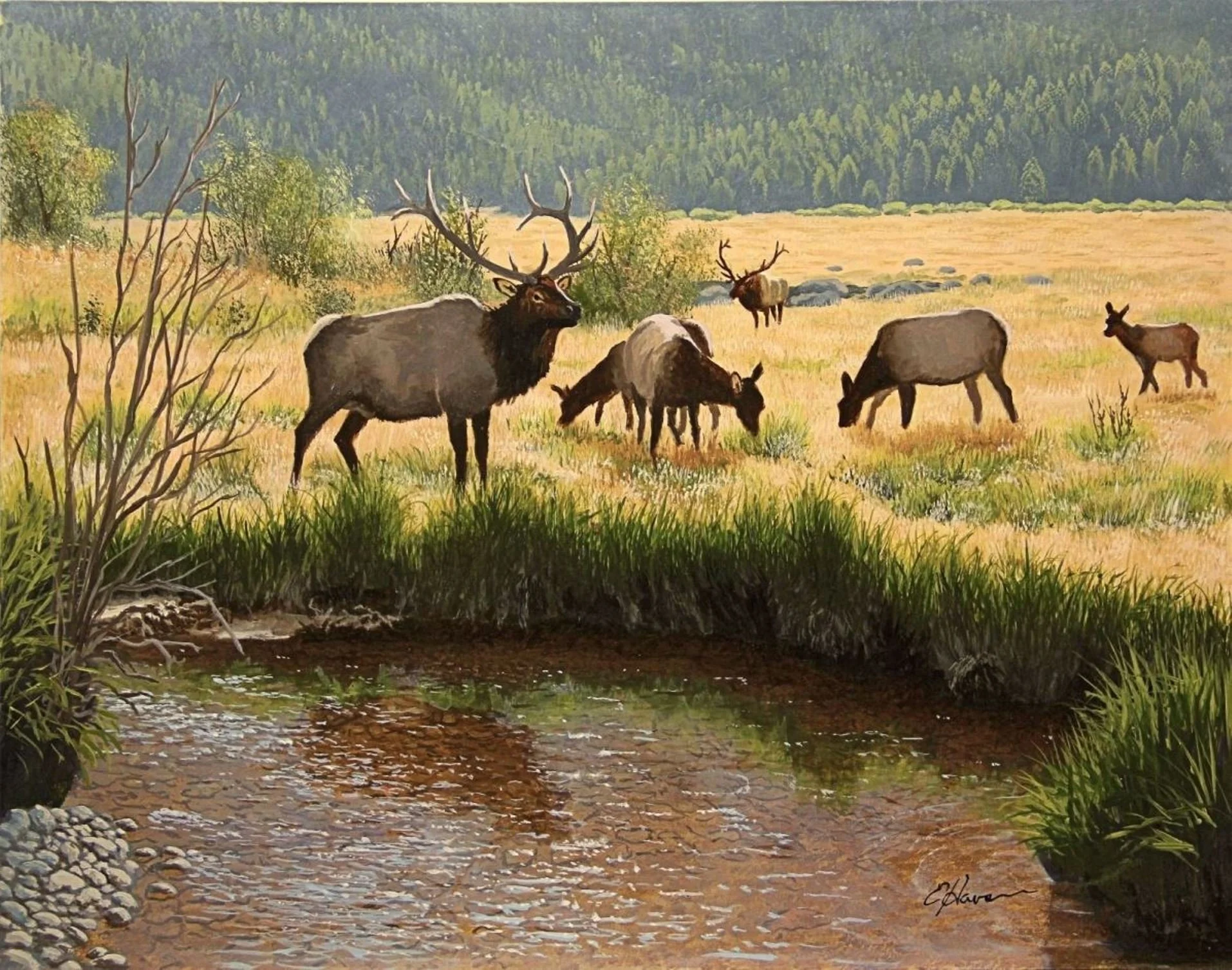 Painting of elk by a stream