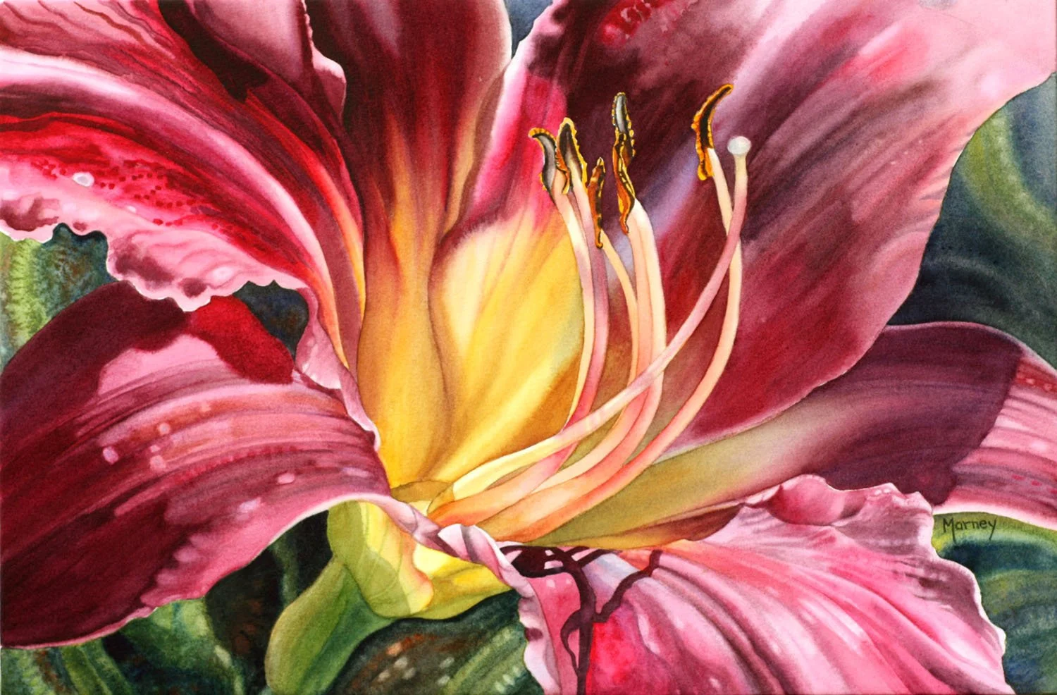 Burgundy Lily