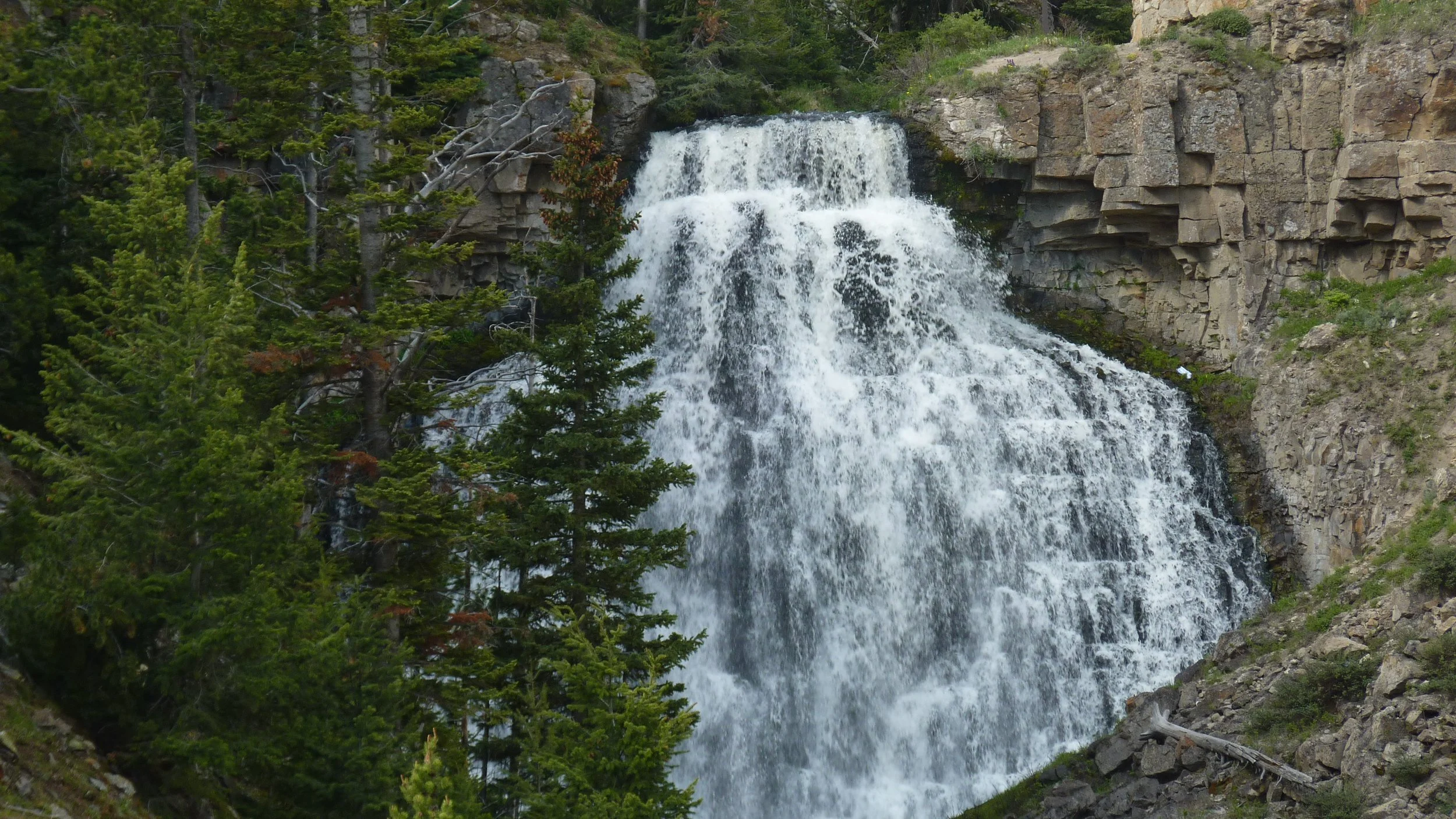 2017-06-09 10.41.43.jpg