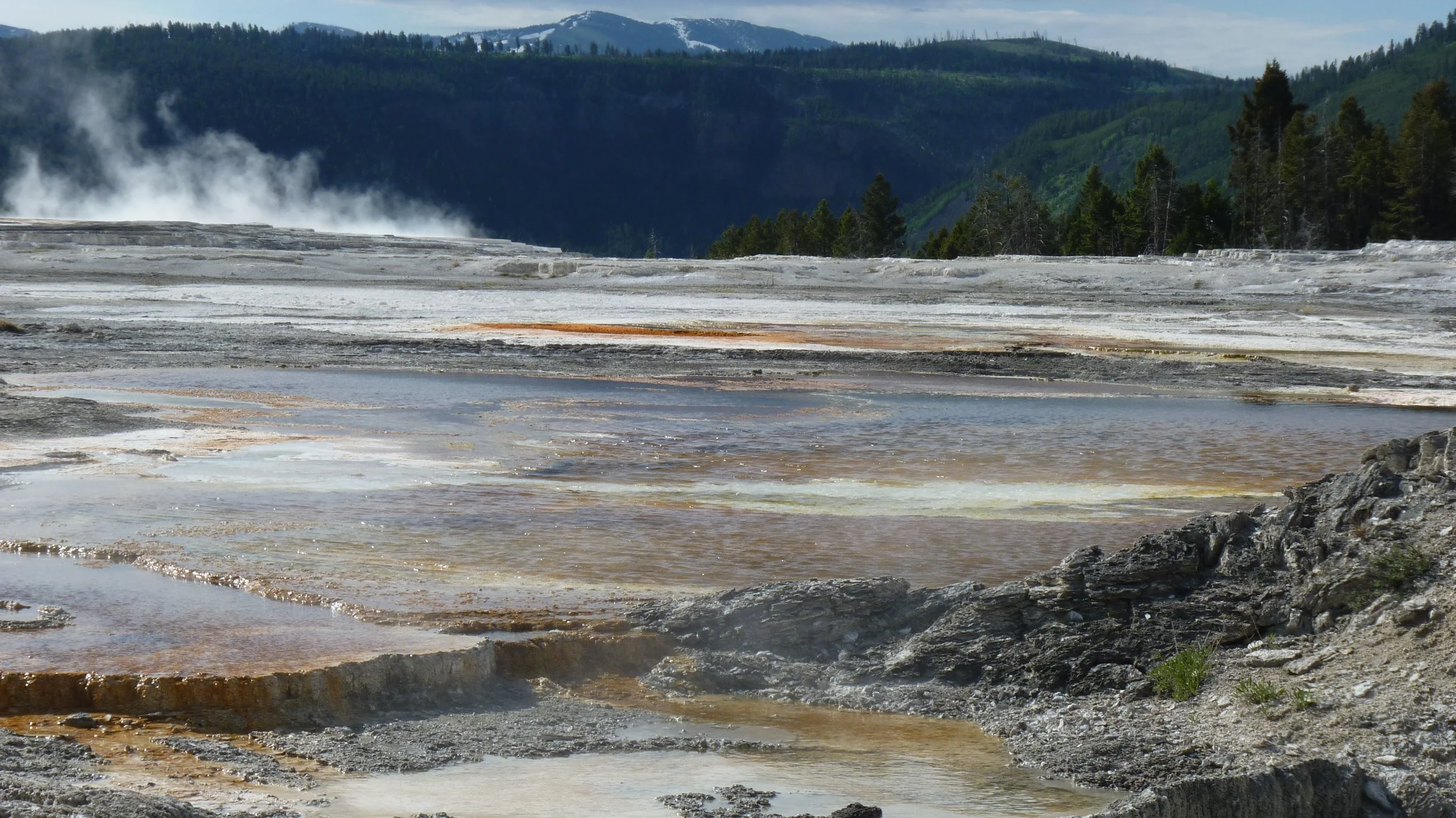 2017-06-09 10.05.36.jpg