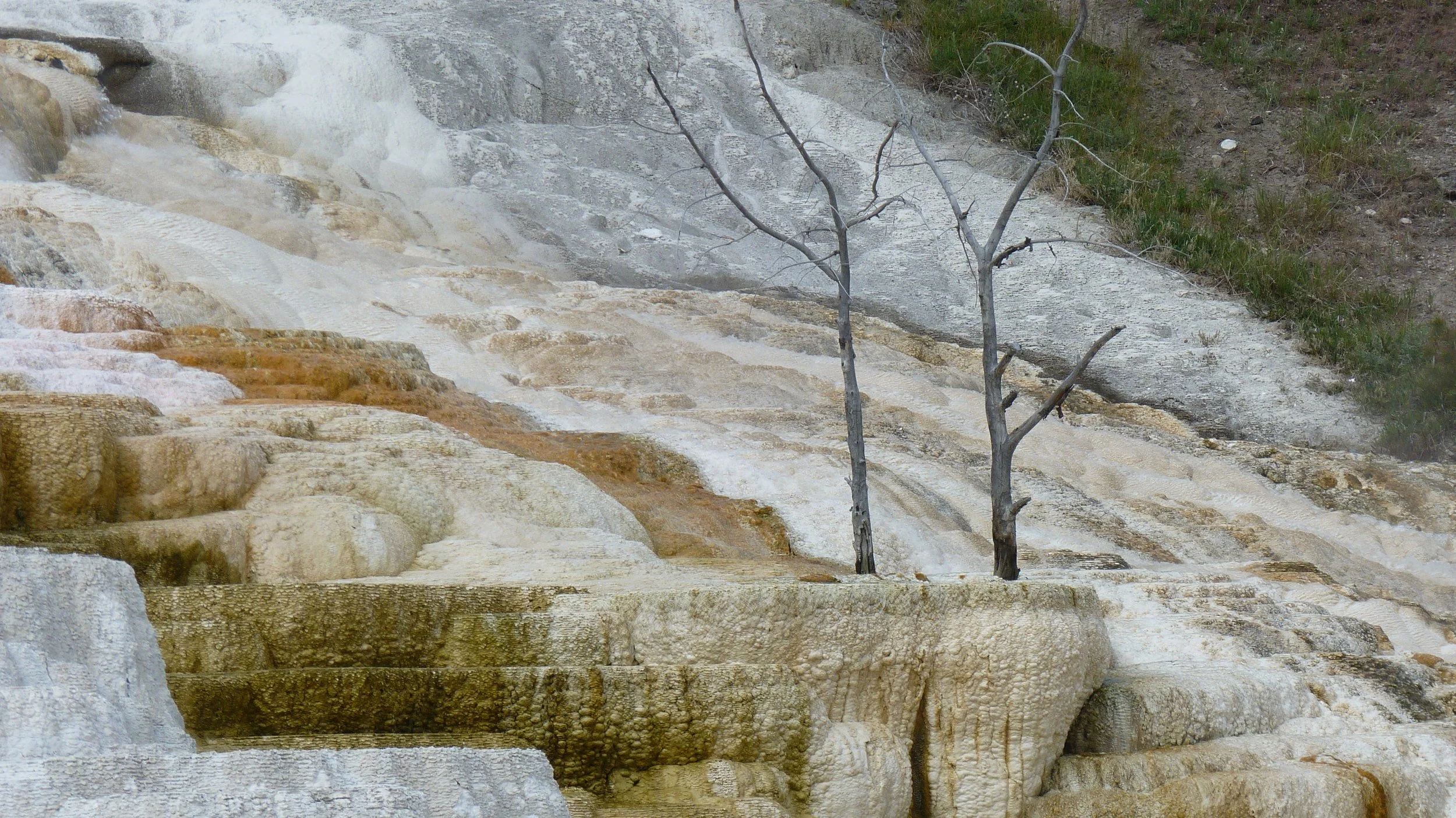 2017-06-09 09.40.17.jpg