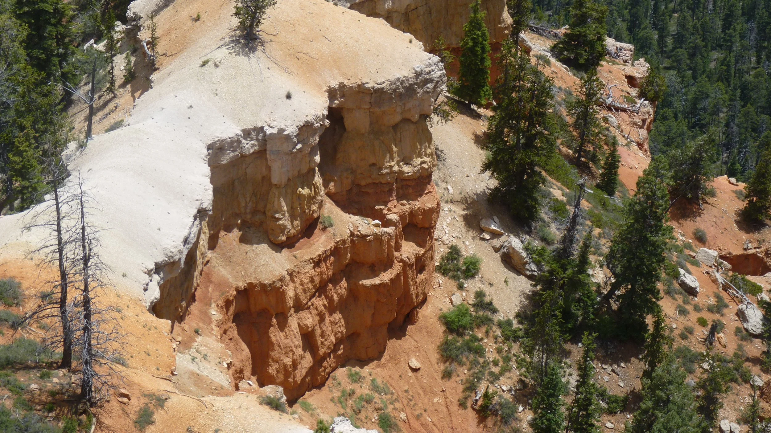 2017-06-11 14.48.45.jpg