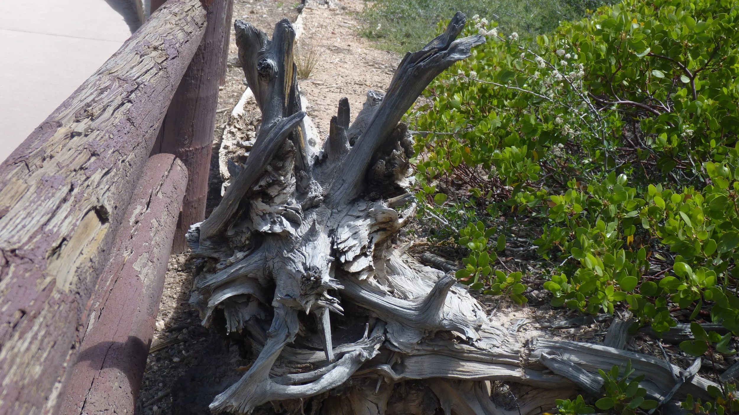 2017-06-11 13.08.48.jpg