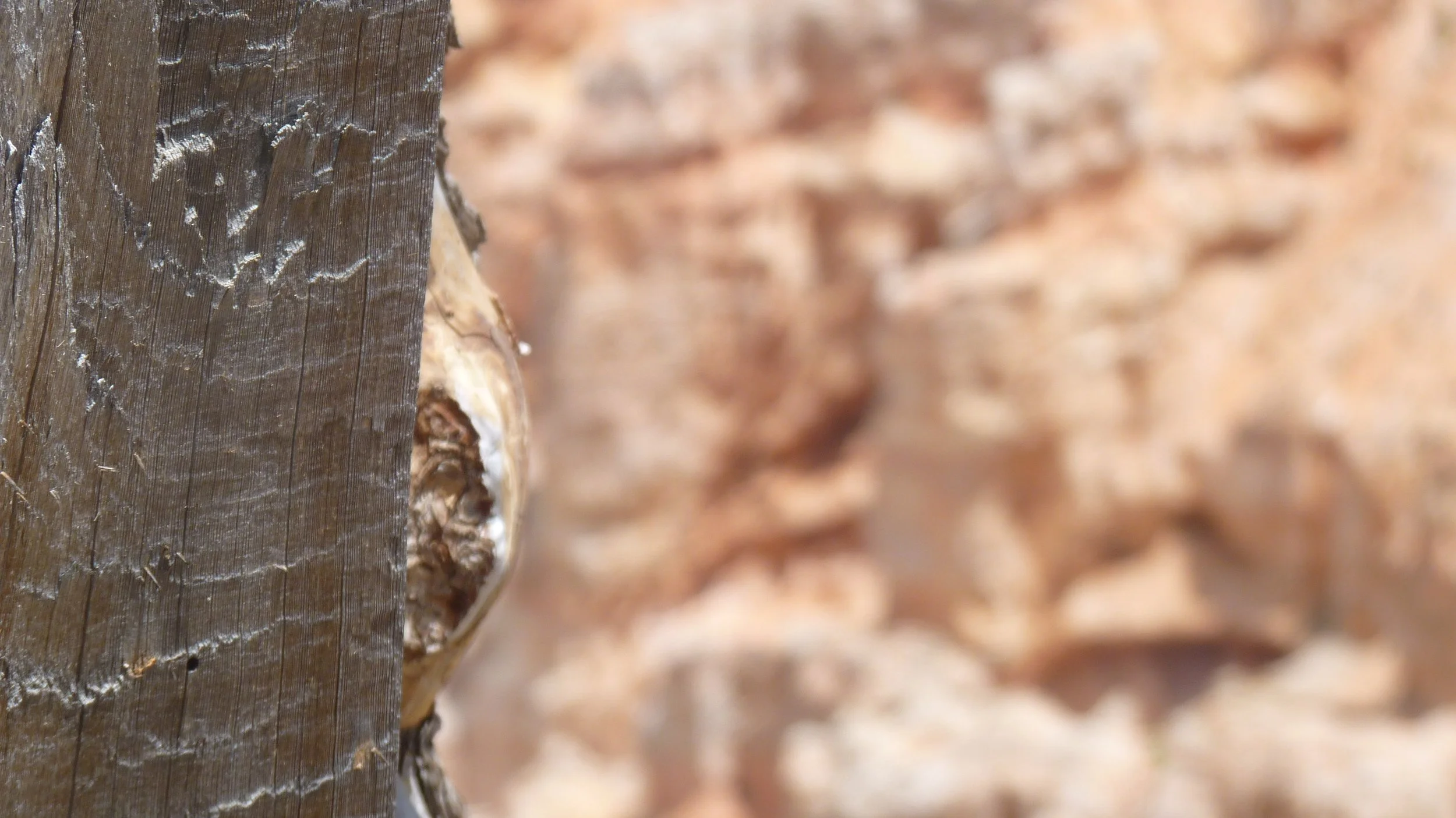 2017-06-11 13.54.21.jpg