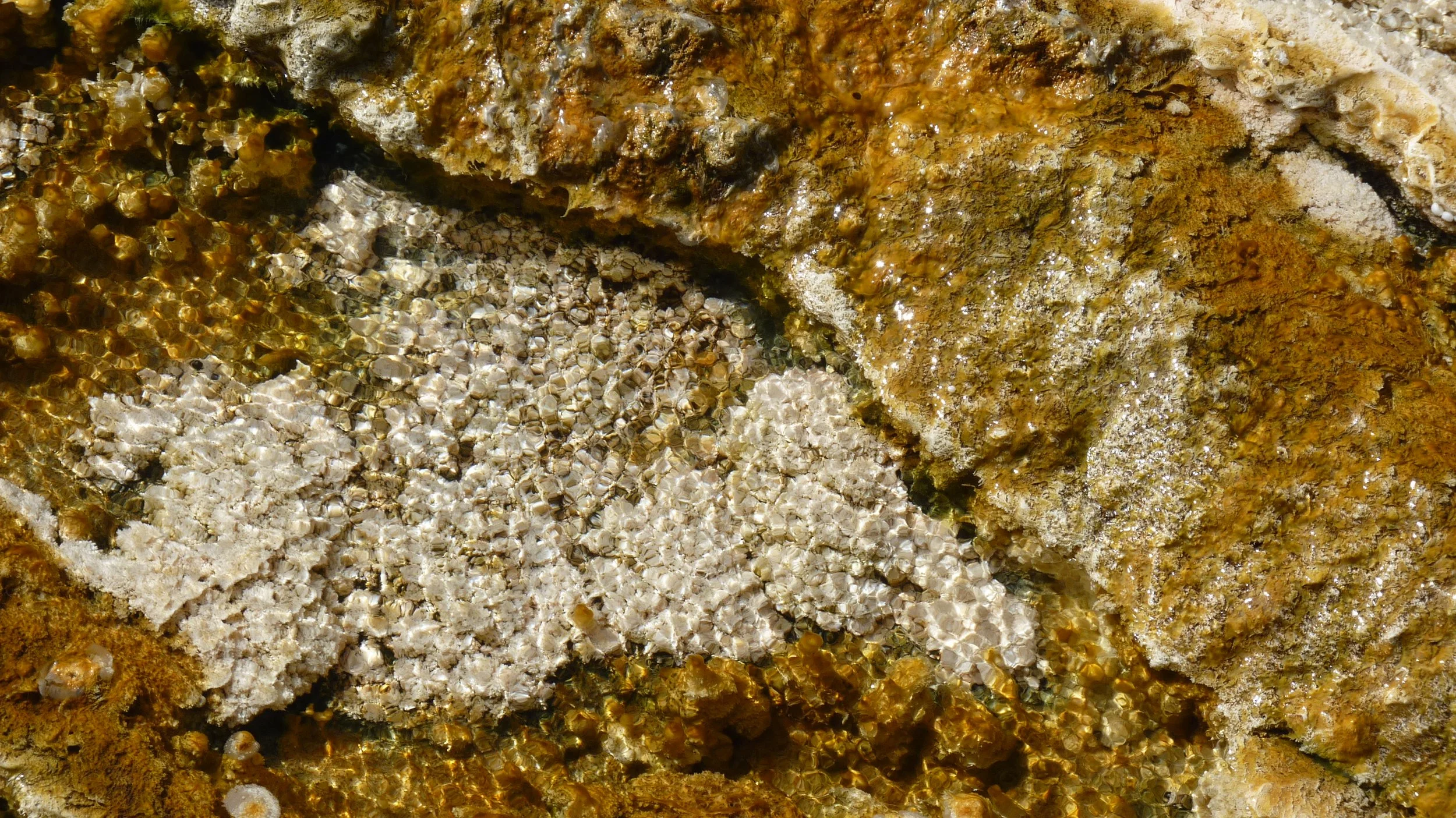 2017-06-09 09.59.46.jpg