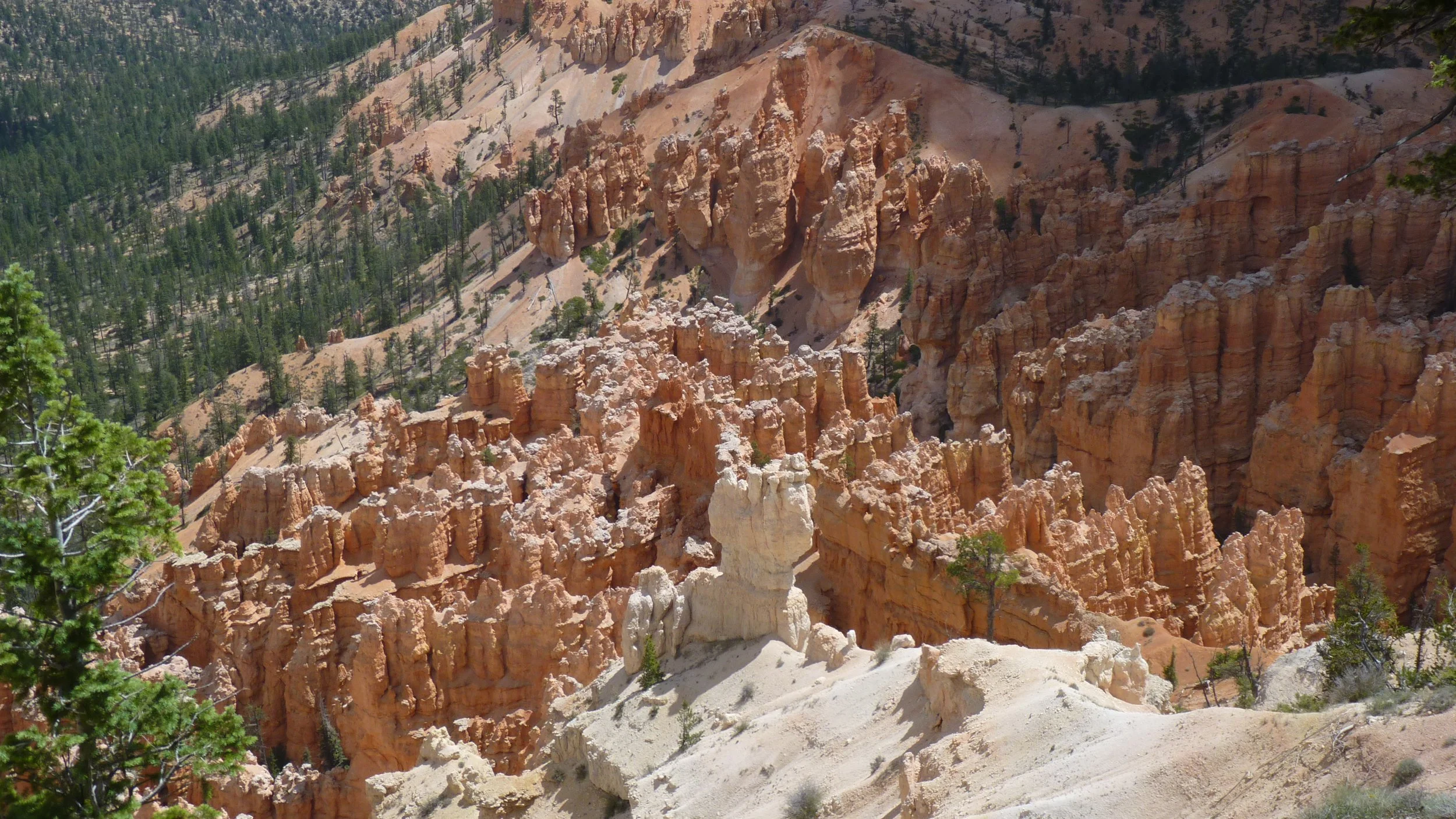 2017-06-11 12.46.34.jpg