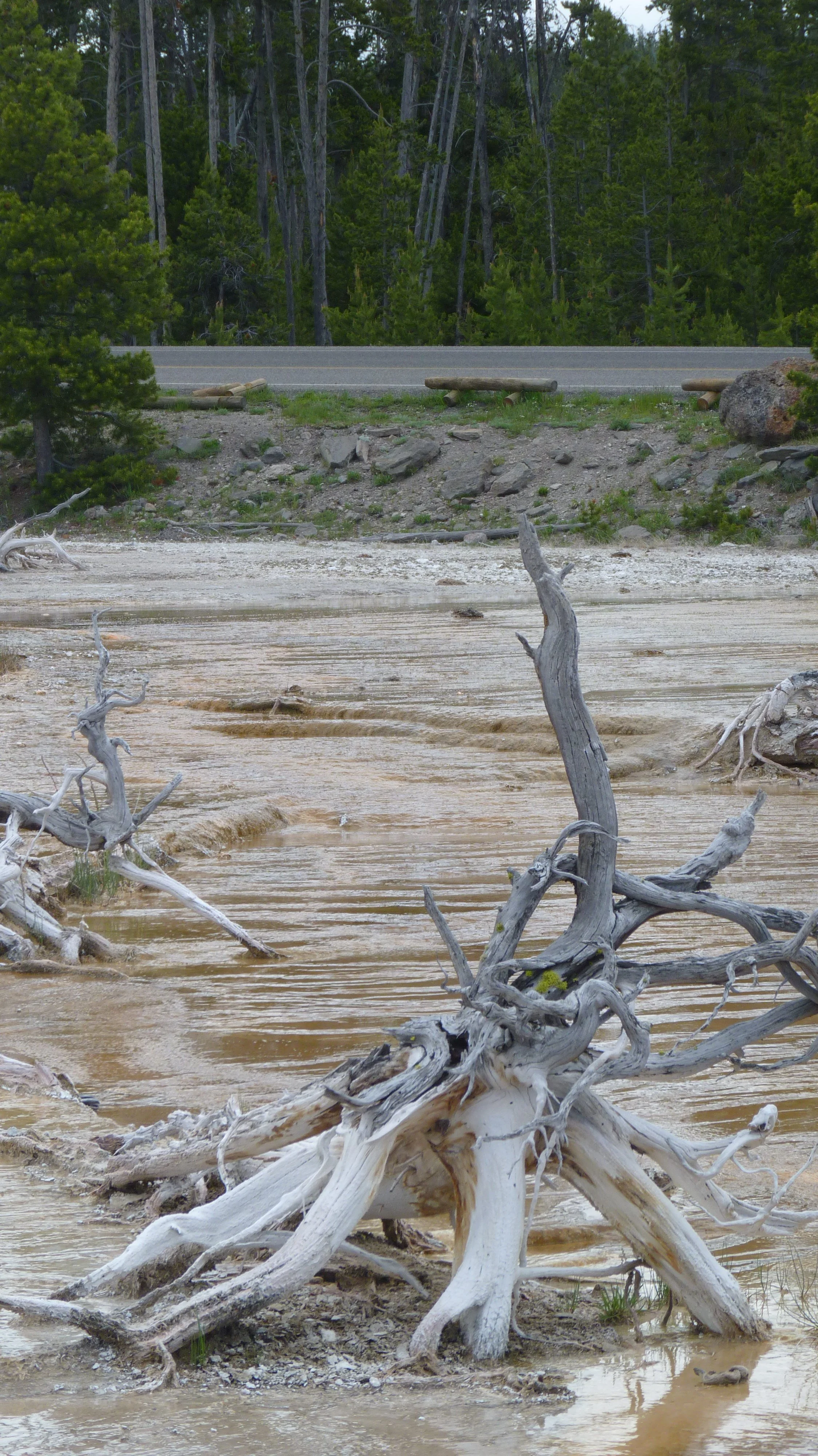 2017-06-09 12.01.45.jpg