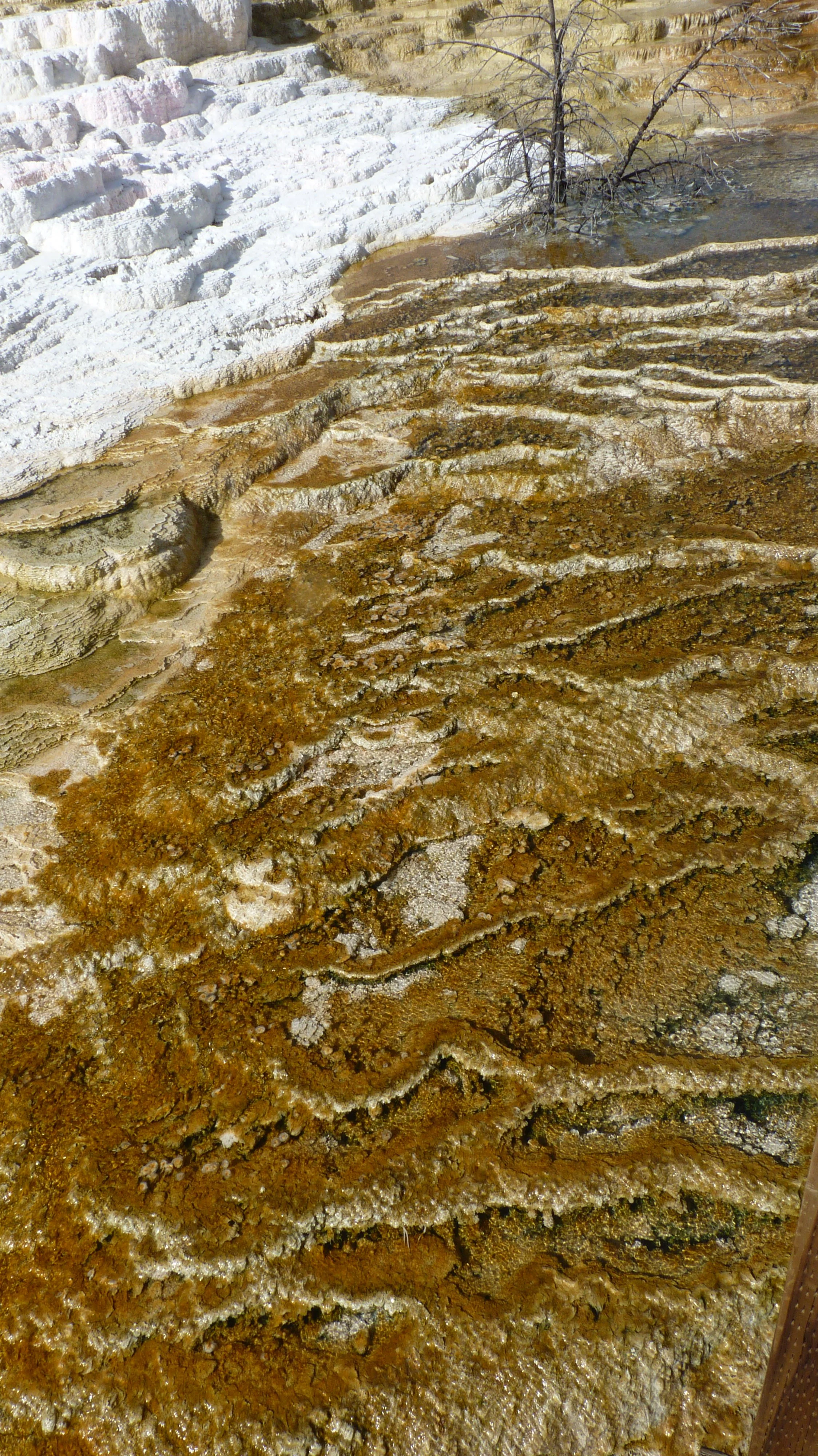 2017-06-09 09.57.42.jpg