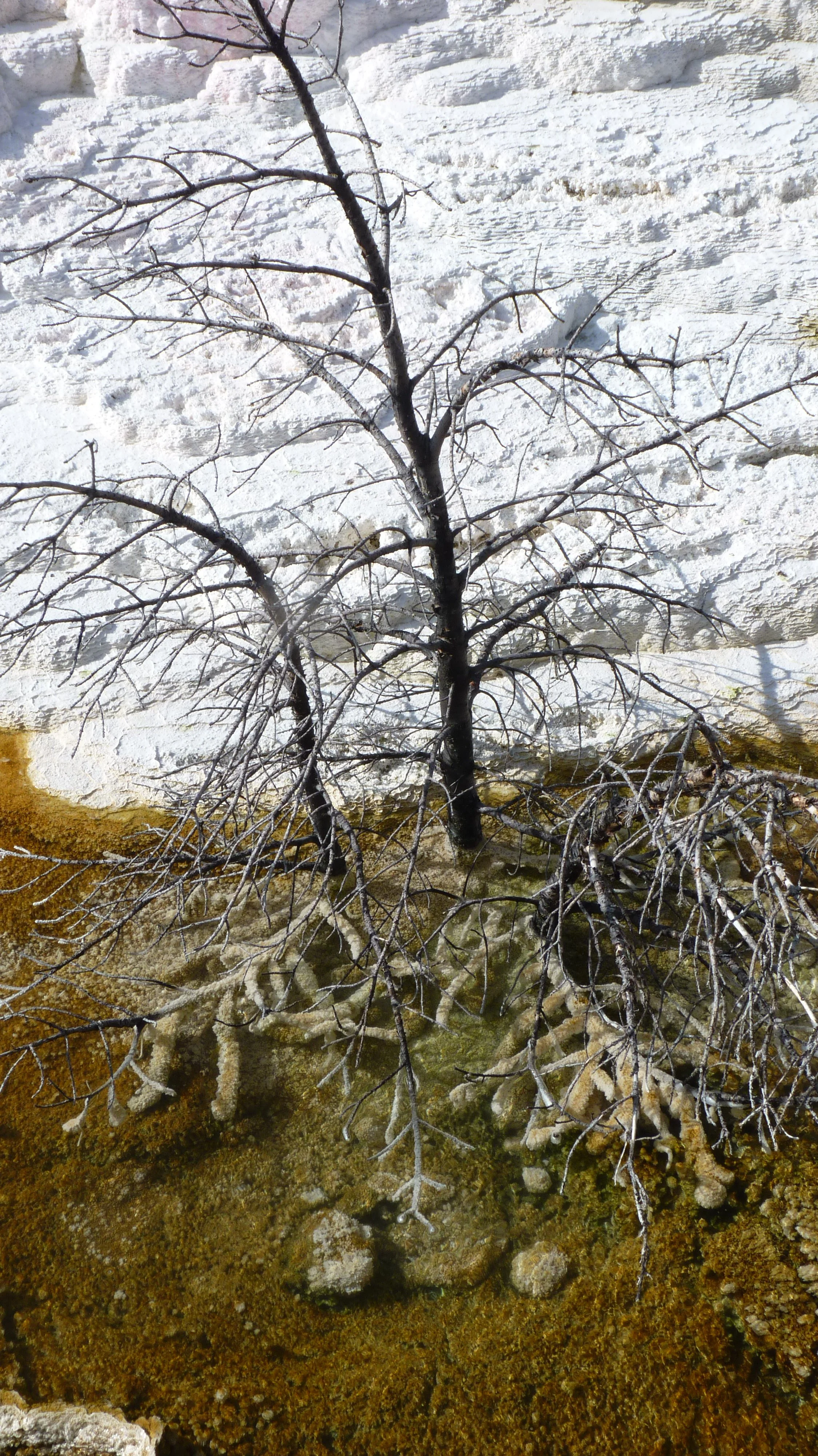 2017-06-09 10.00.06.jpg