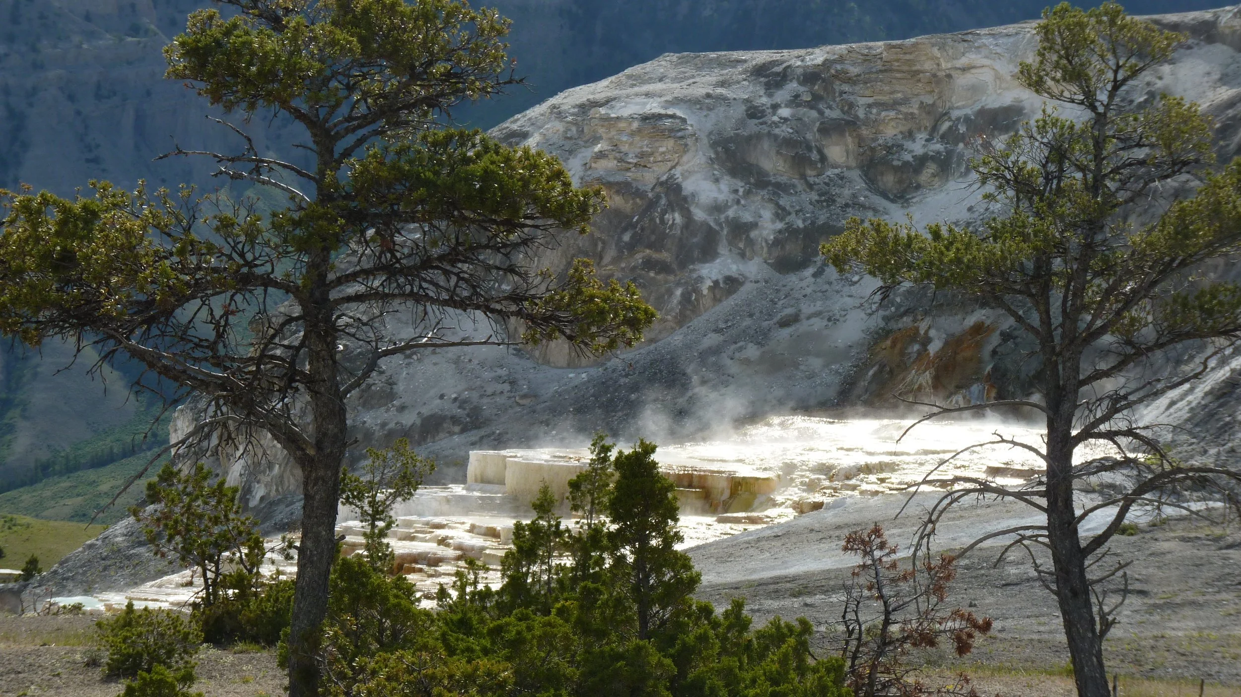 2017-06-09 10.15.12.jpg