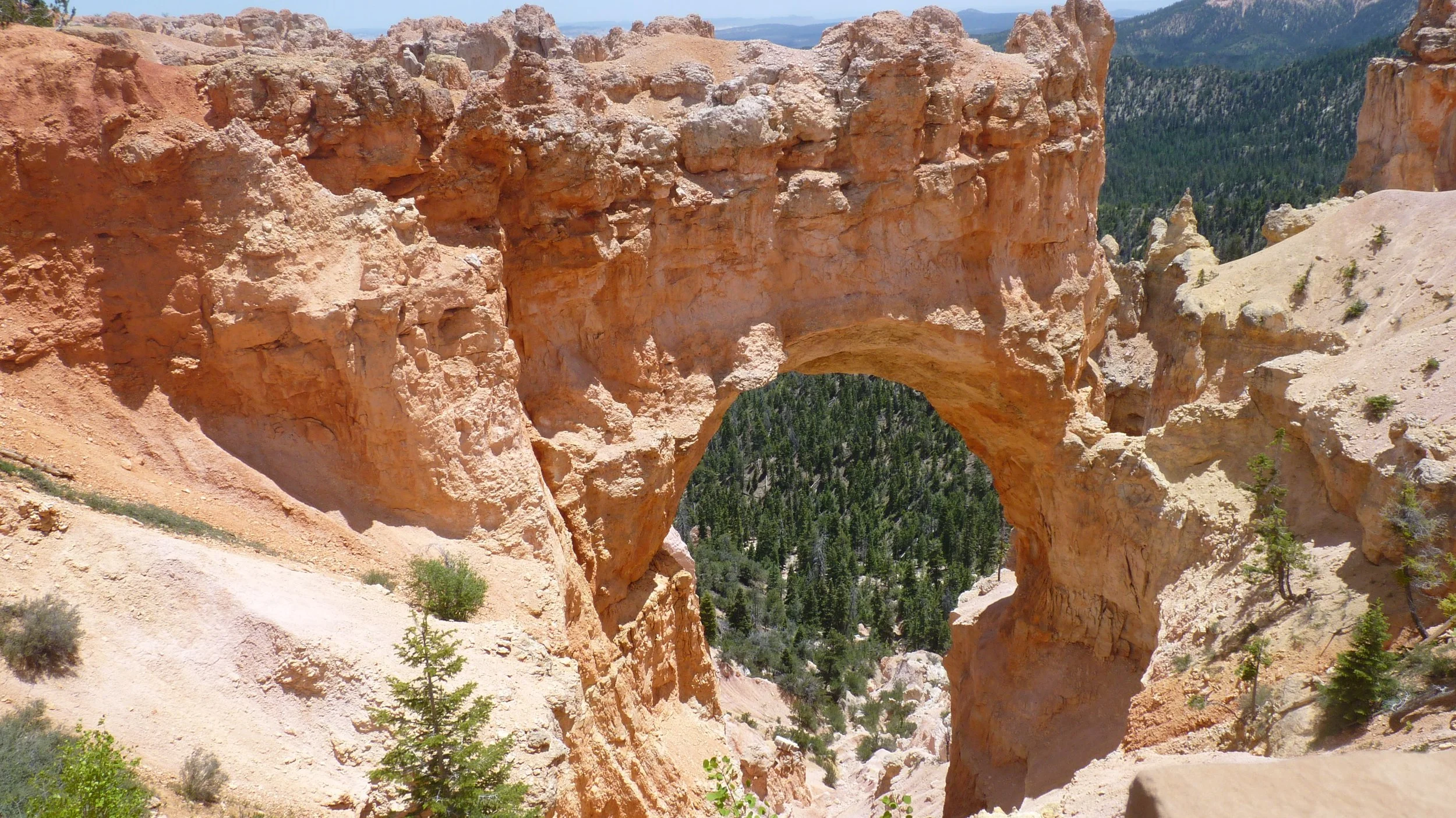 2017-06-11 14.34.21.jpg