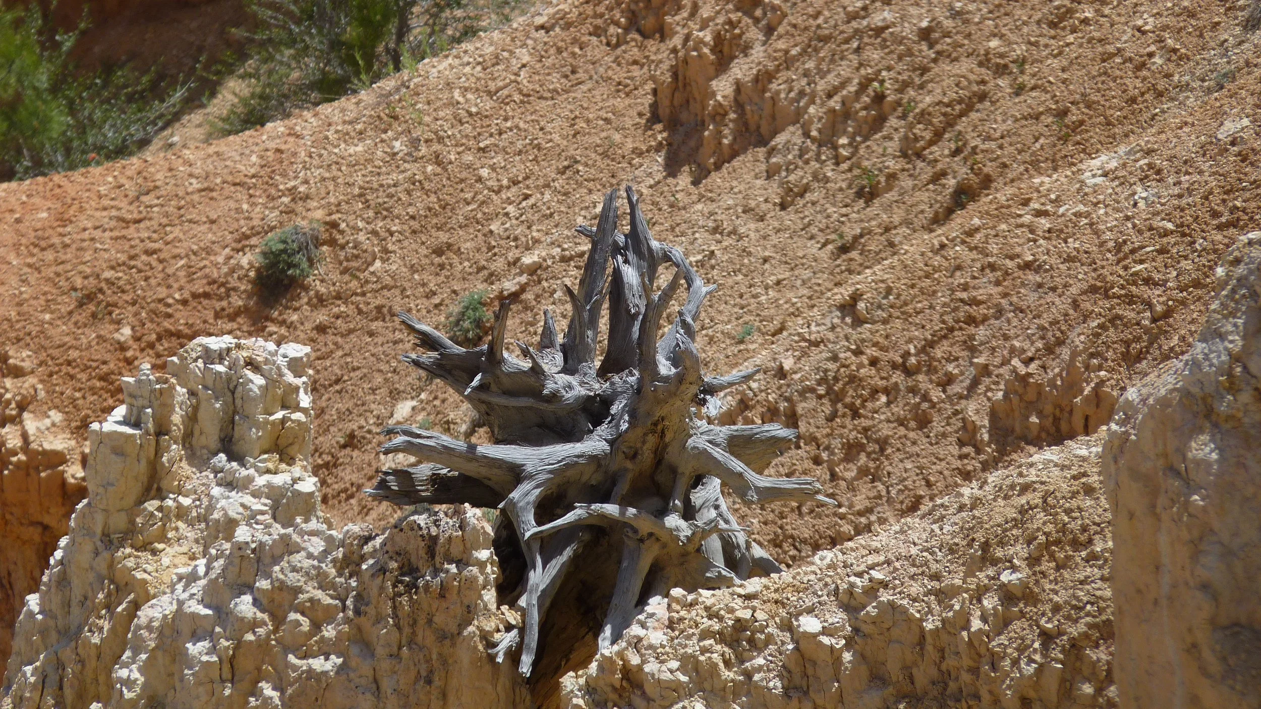 2017-06-11 15.18.27.jpg