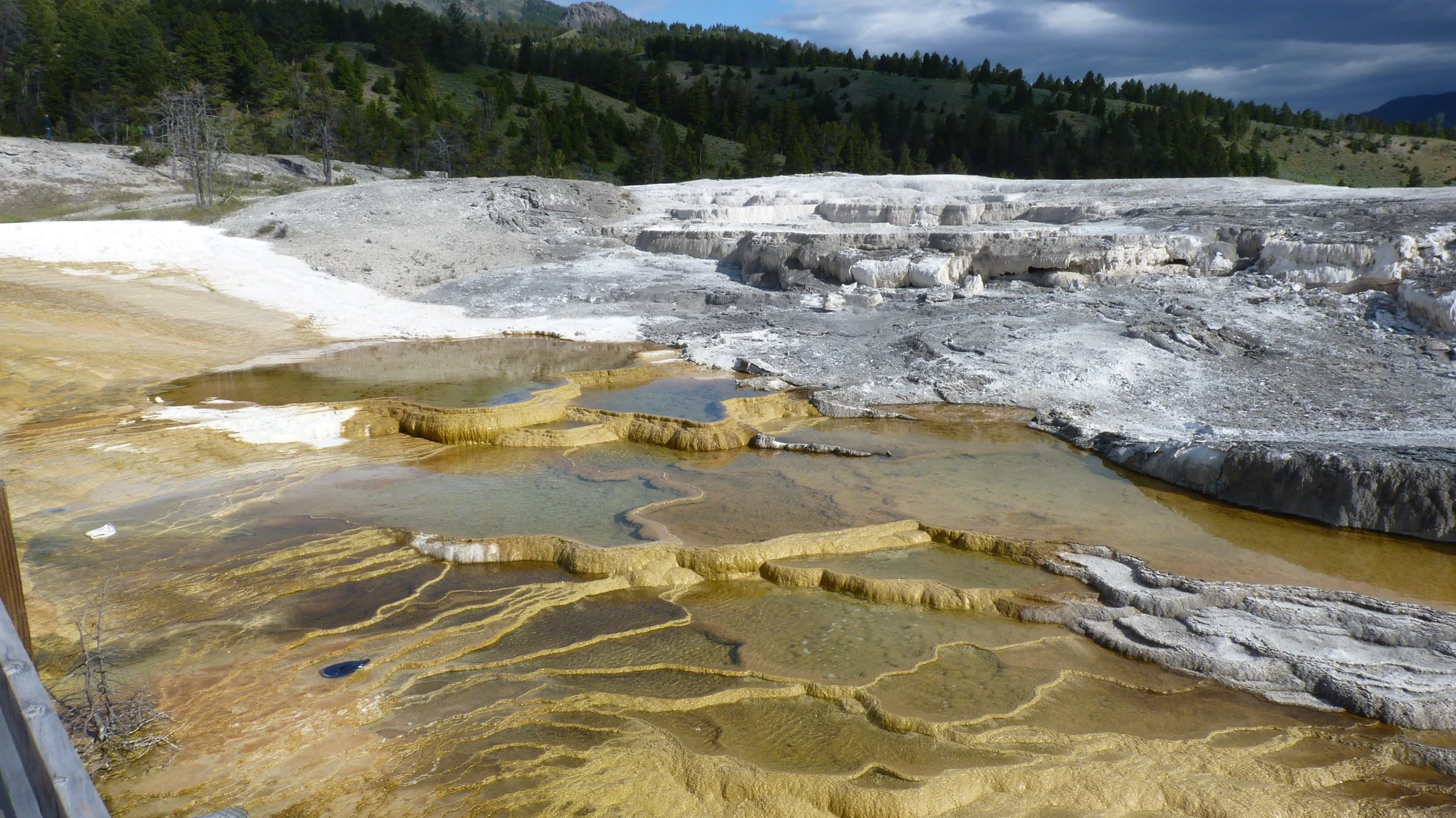 2017-06-09 09.55.54.jpg