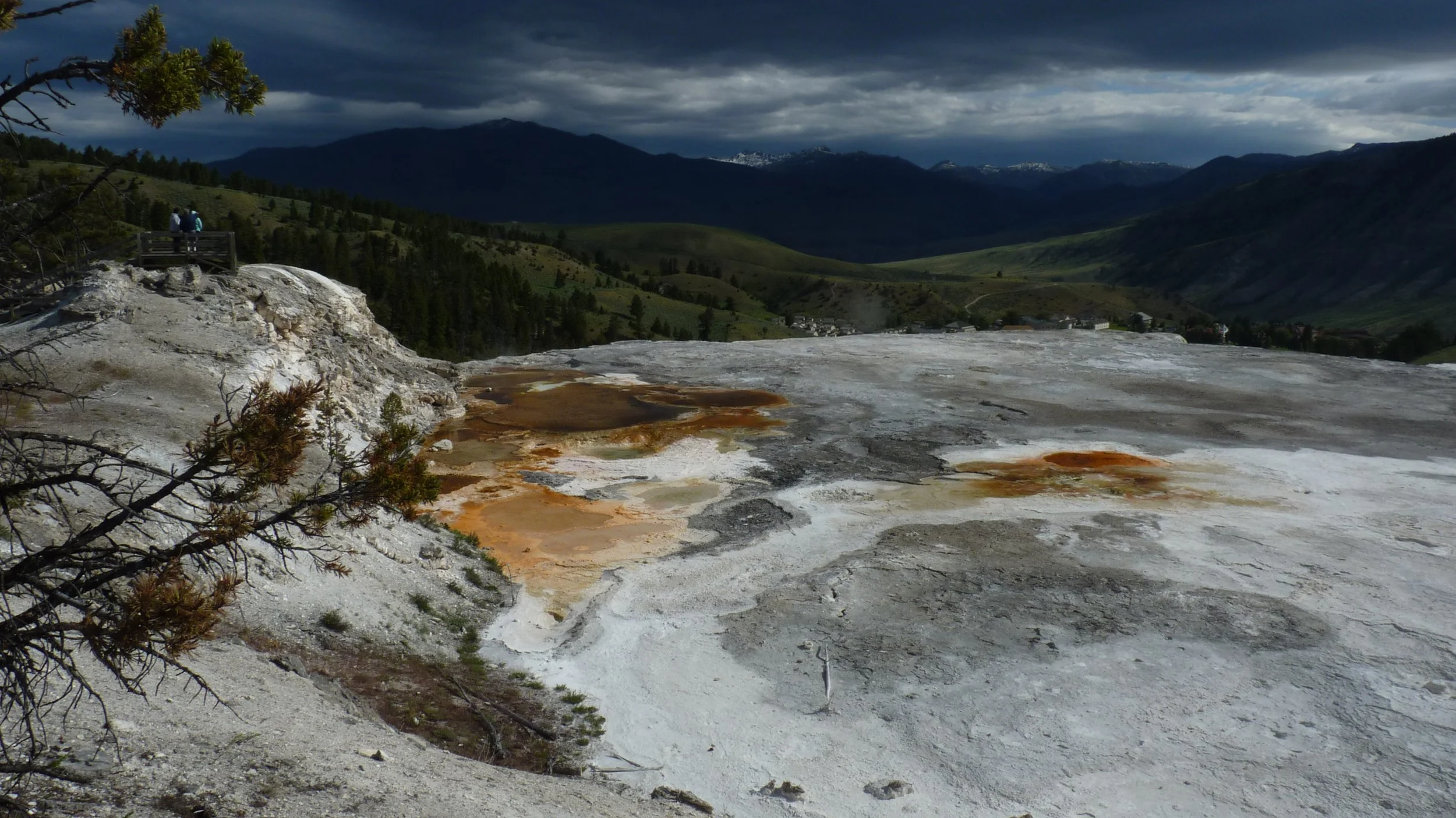 2017-06-09 10.08.22.jpg