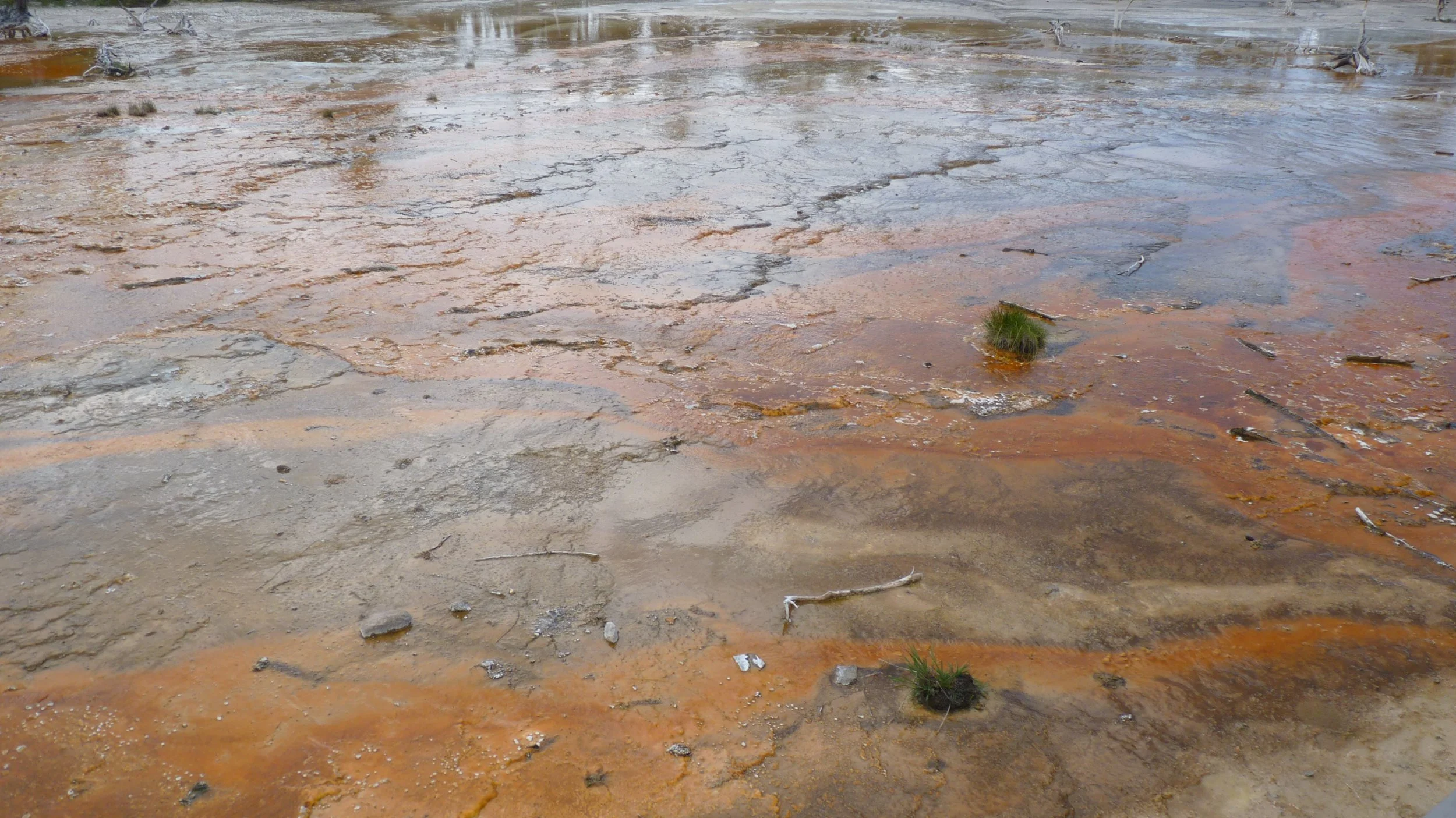 2017-06-09 12.02.57.jpg