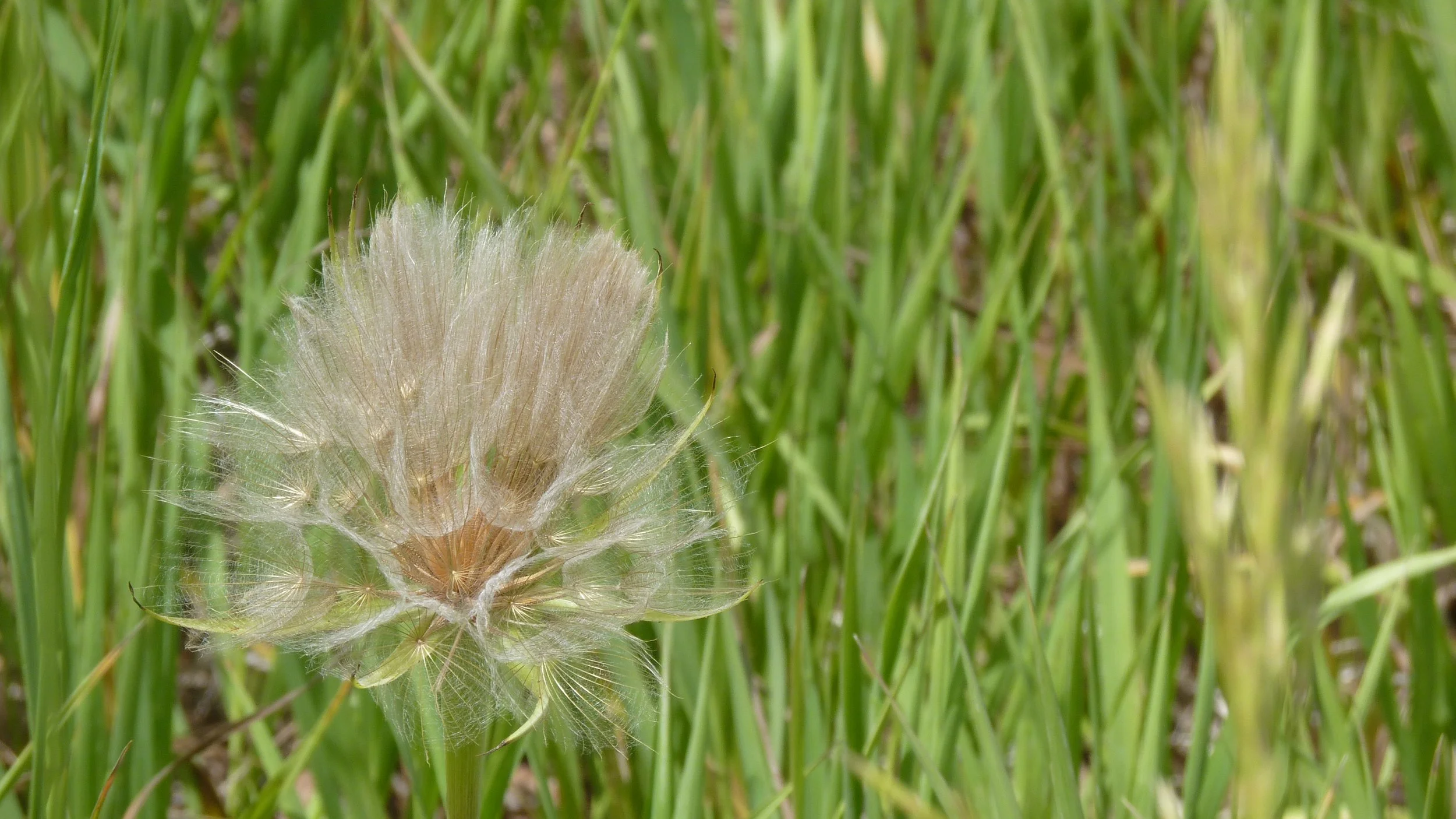 2017-06-13 12.08.11.jpg