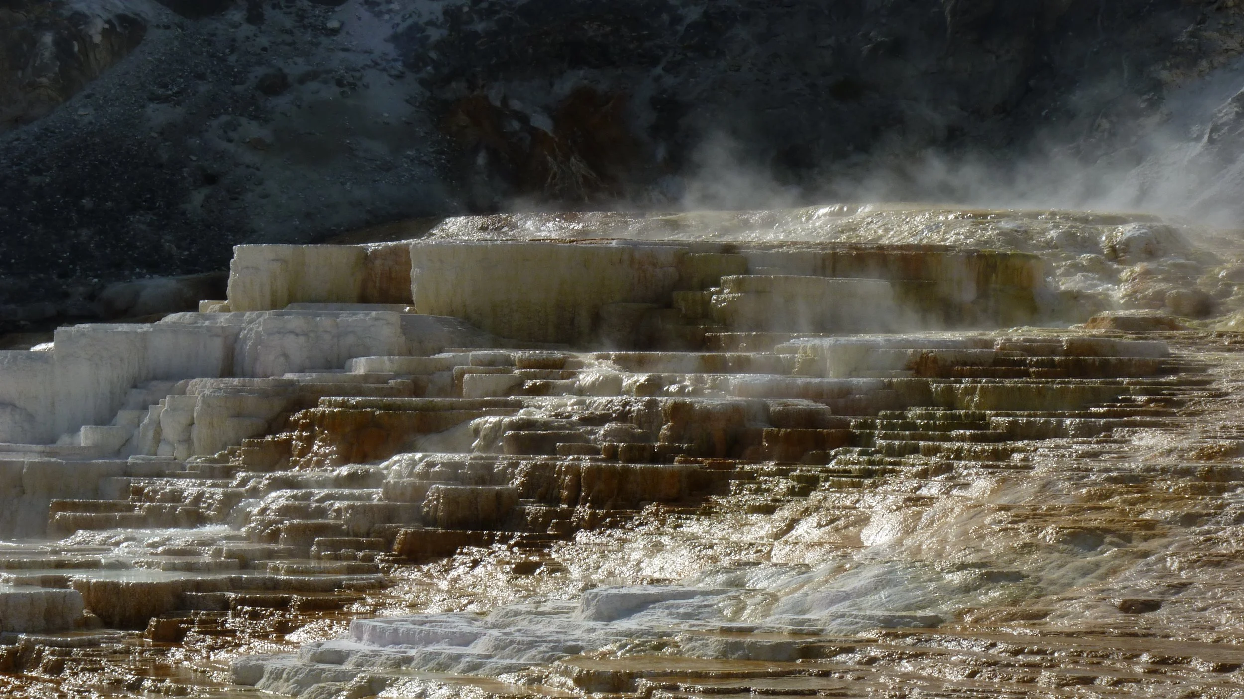 2017-06-09 10.17.05.jpg