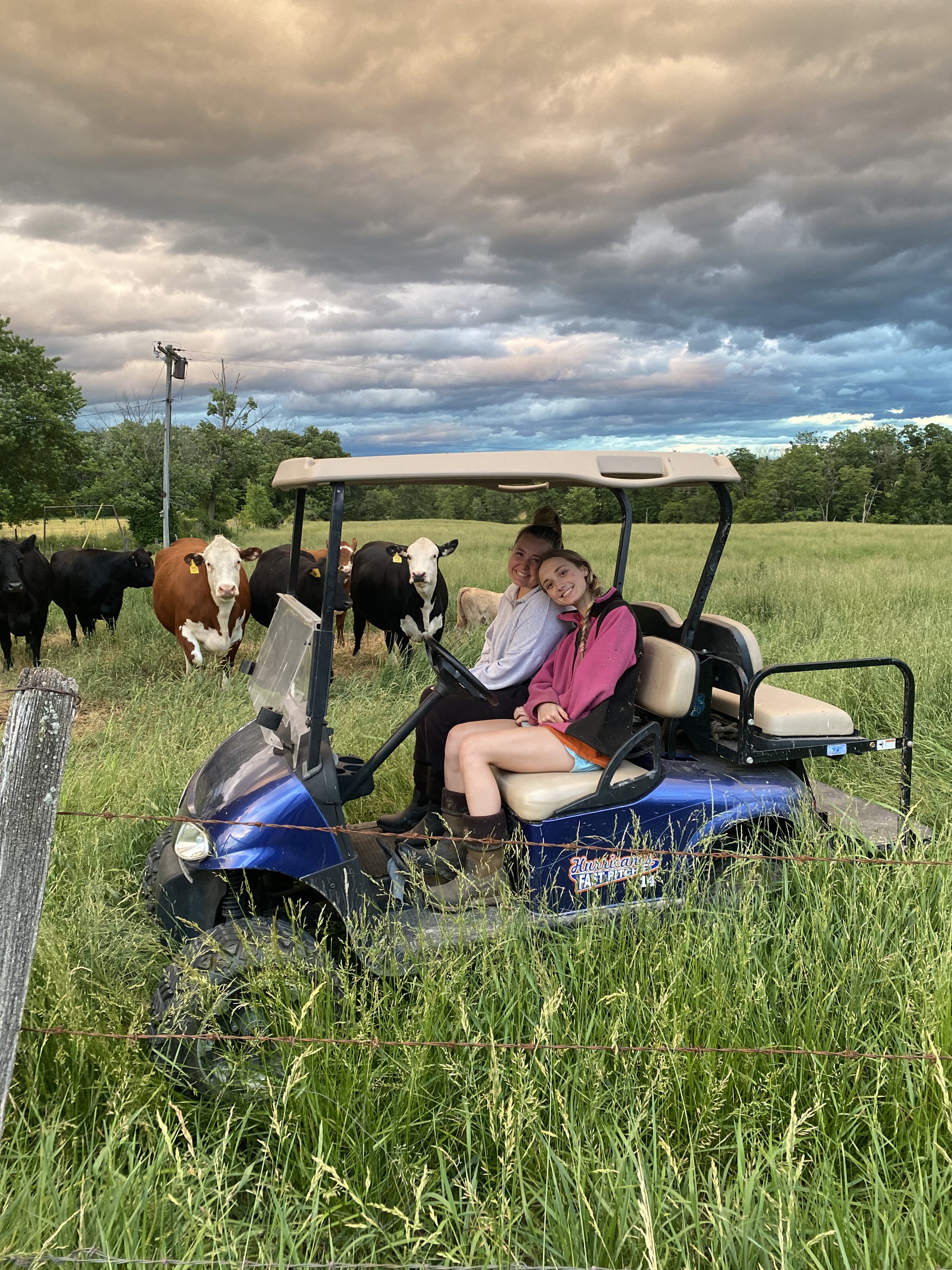 Two young girls sitting in a blue golf cart on a grassy field with cows nearby and a cloudy sky above.