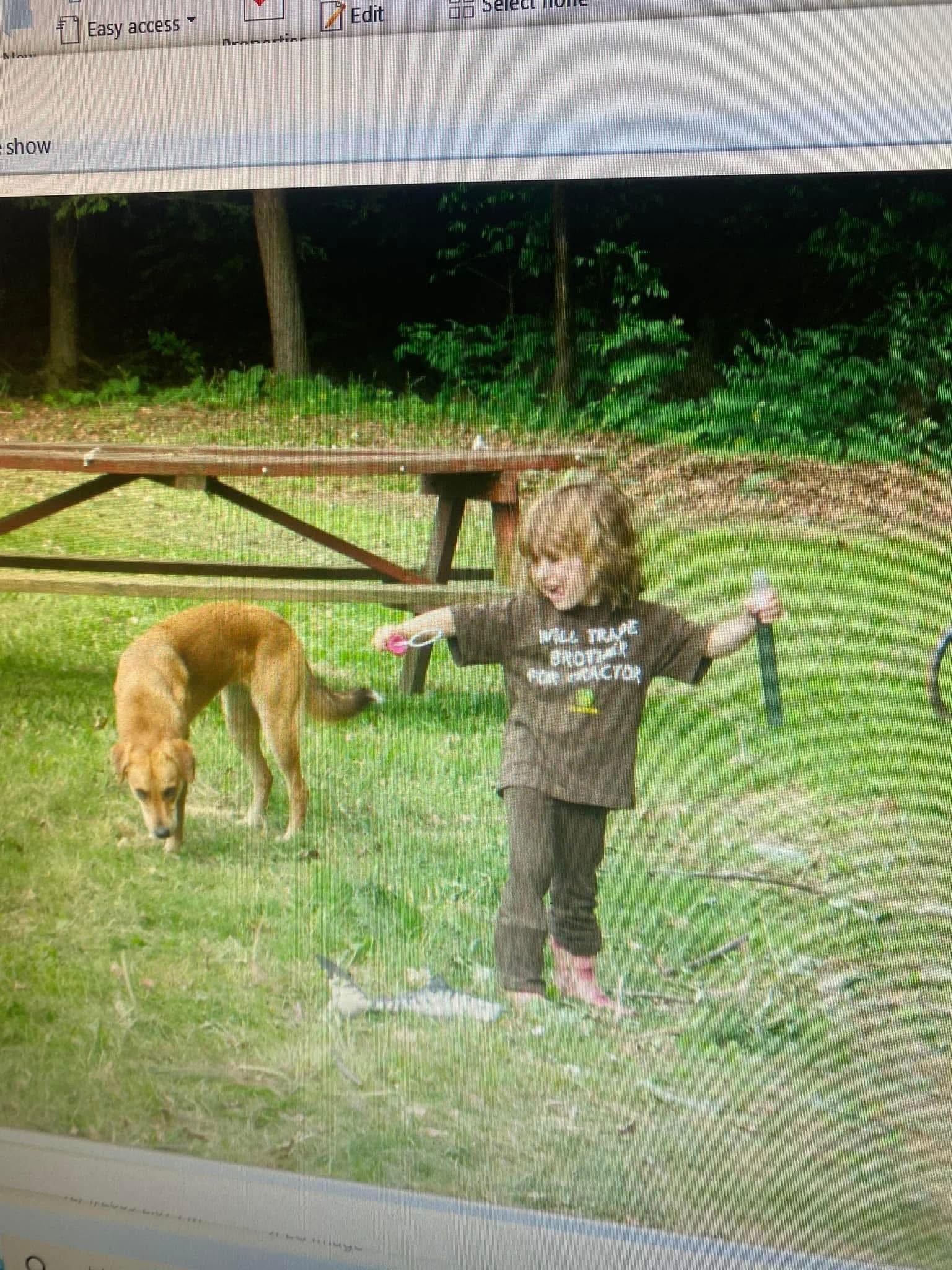 A young child with shoulder-length brown hair playing outdoors in grass, holding a stick, with a brown dog nearby, and forest trees in the background.