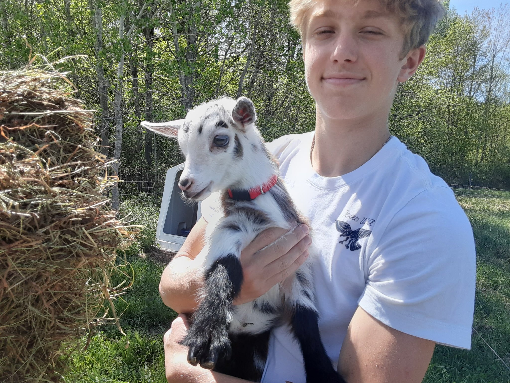 A person holding a baby goat in an outdoor setting with trees and grass, sunny day.