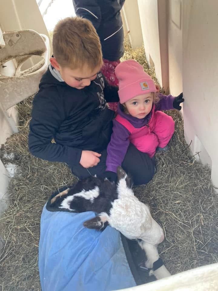 Two young children, a boy and a girl, sitting on hay inside a barn or stable, petting a small goat and a calf that are lying on the ground in front of them.