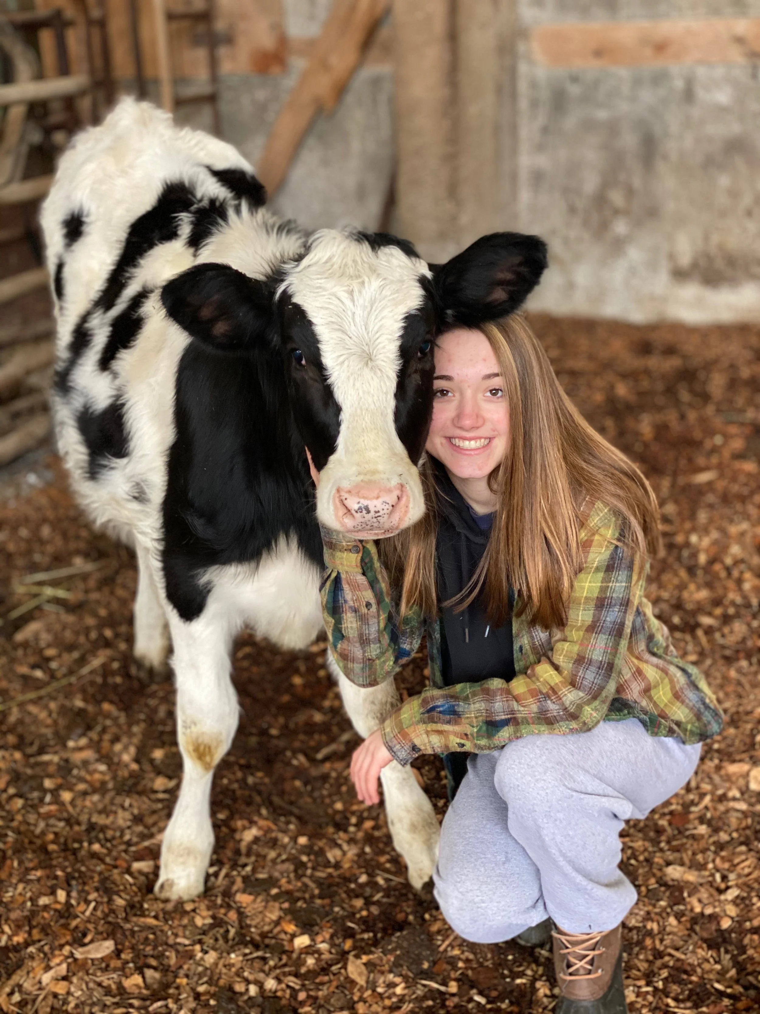 A young woman with long red hair wearing a plaid jacket, black hoodie, and gray sweatpants kneels next to a black and white calf inside a barn, both smiling at the camera.