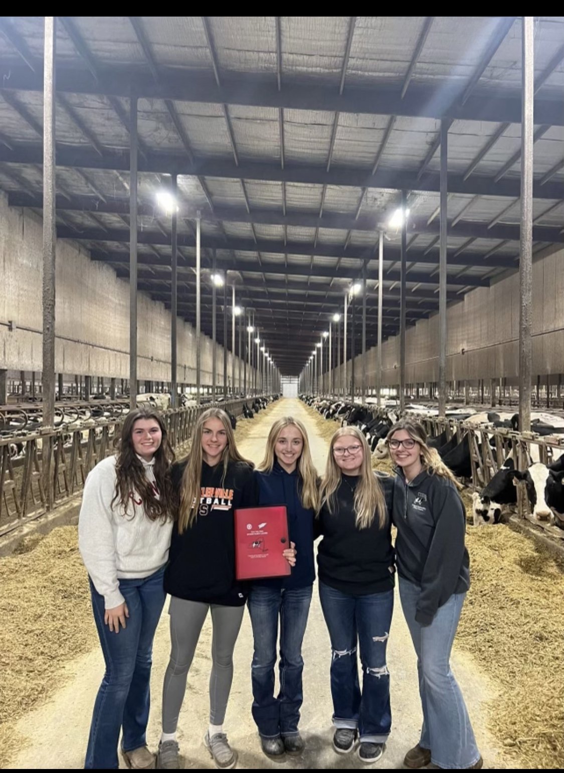 Five young women standing together inside a large dairy barn, with cows eating hay on both sides in the background.