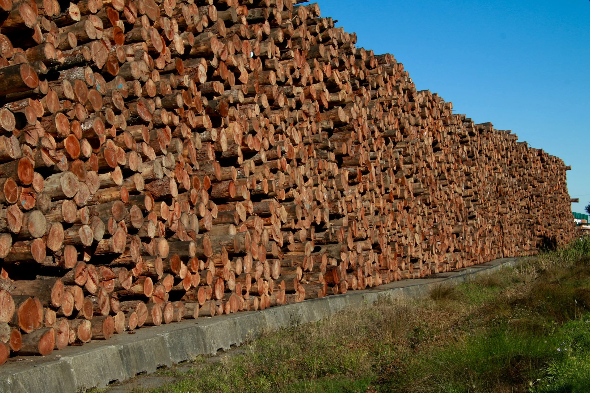 Culture Habits Will Normalize