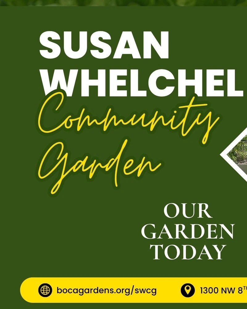 🌿 Our Garden Today

The Susan Whelchel Community Garden continues to thrive with gardeners of all ages growing vegetables, herbs, flowers, and friendships.

With the garden now approaching 90% full, this season has been one of our most vibrant yet.
