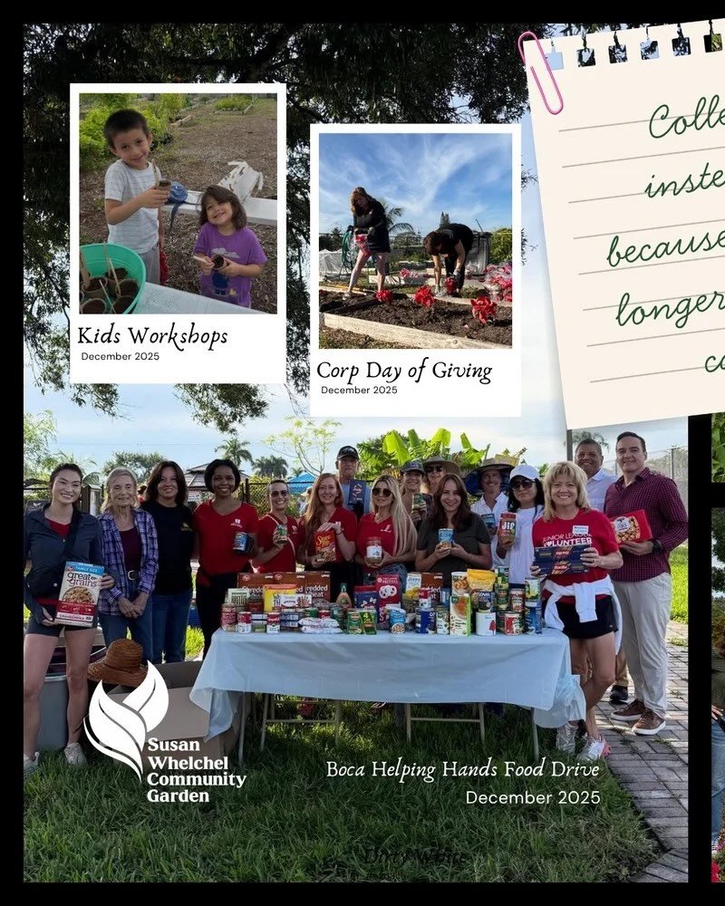 🤝 Growing Through Community

One of our proudest recent milestones was bringing gardeners, neighbors, and volunteers together to give back through our seasonal community event.

From harvest donations to shared knowledge, every gathering reminds us 
