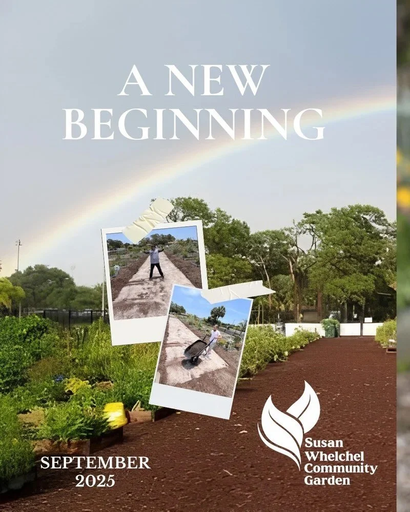 🌱 A new chapter officially began on September 1, 2025.

The Susan Whelchel Community Garden entered a new season under the stewardship of Boca Raton Urban Gardens.

We&rsquo;re honored to help continue a space built around growth, sustainability, an