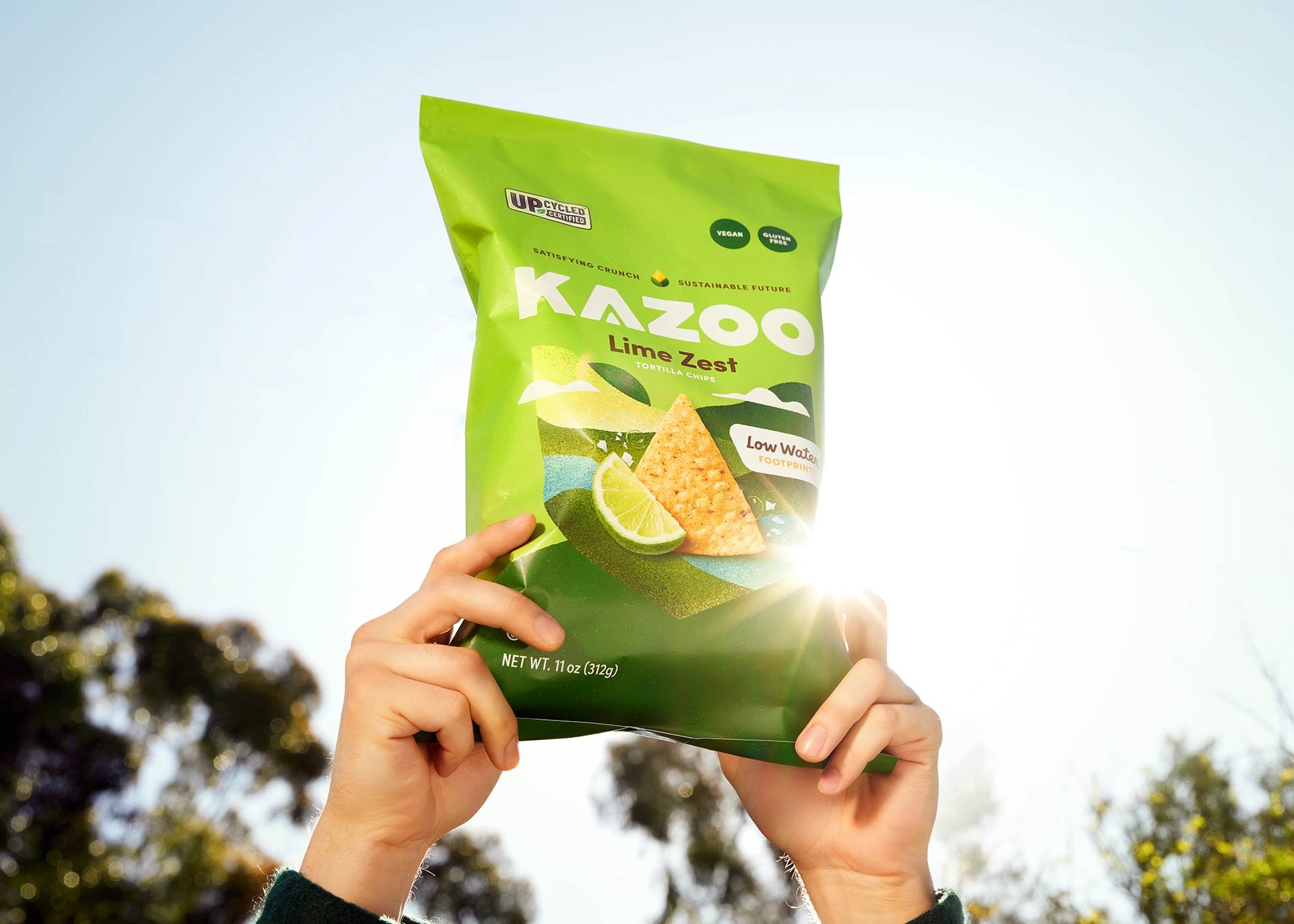Kazoo_06.jpg
