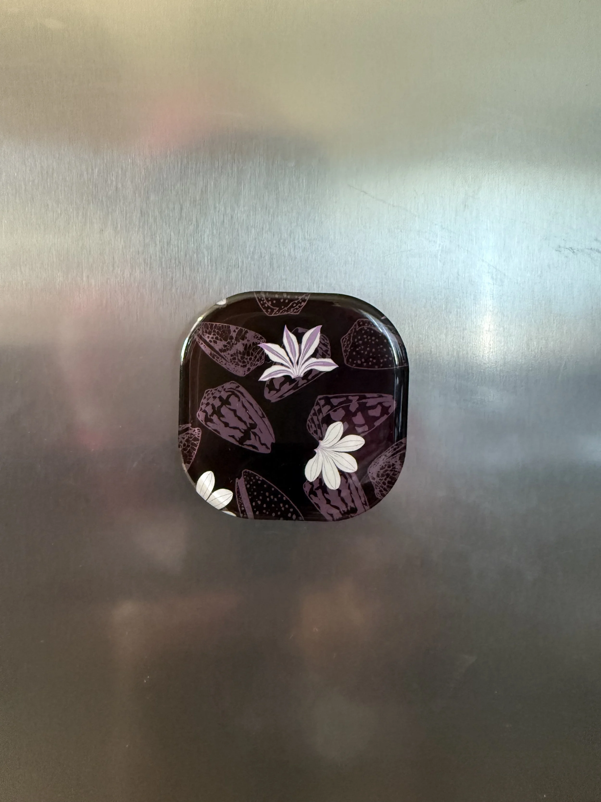 IMG_4279.jpeg (Copy)