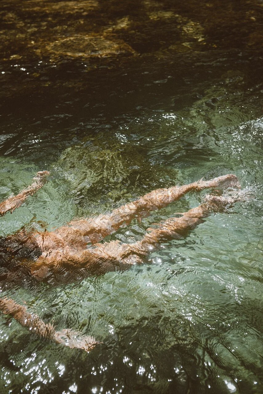 A pair of brown, twisted tree roots submerged in clear water with sunlight reflections.