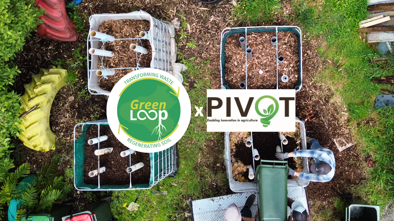 Green Loop received the Pivot Award!