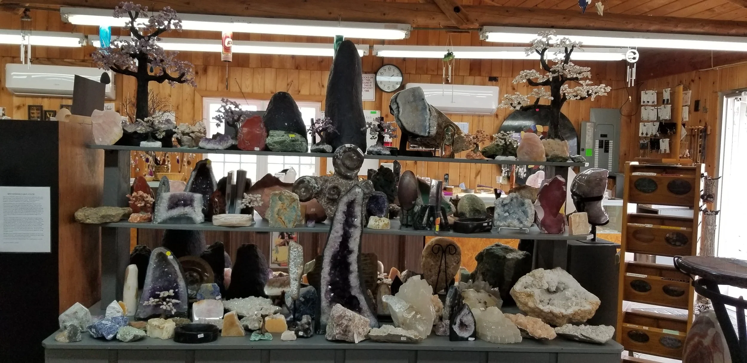 BMRS-shelf-wide.jpg