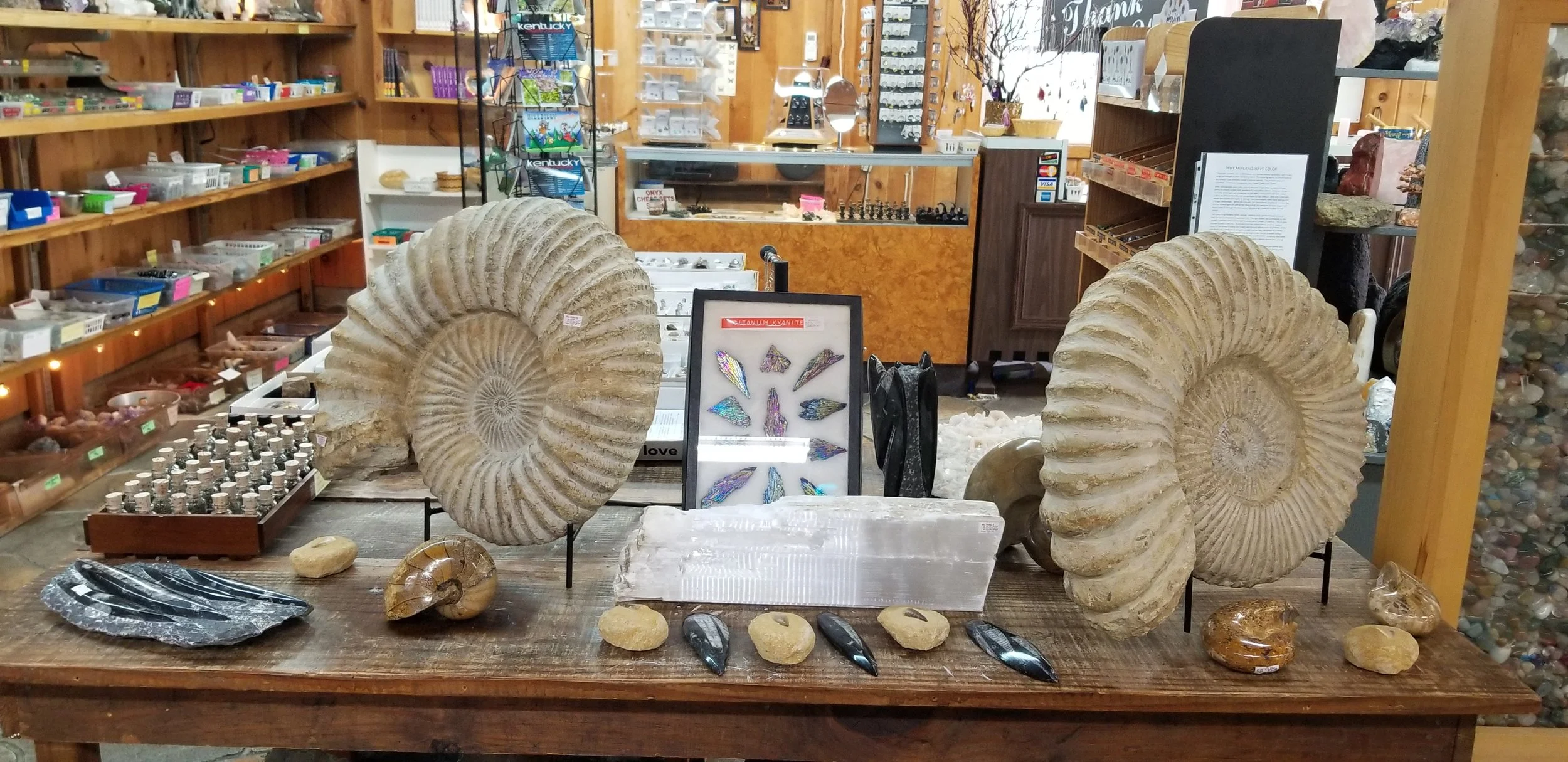 BMRS-nautilus-wide.jpg