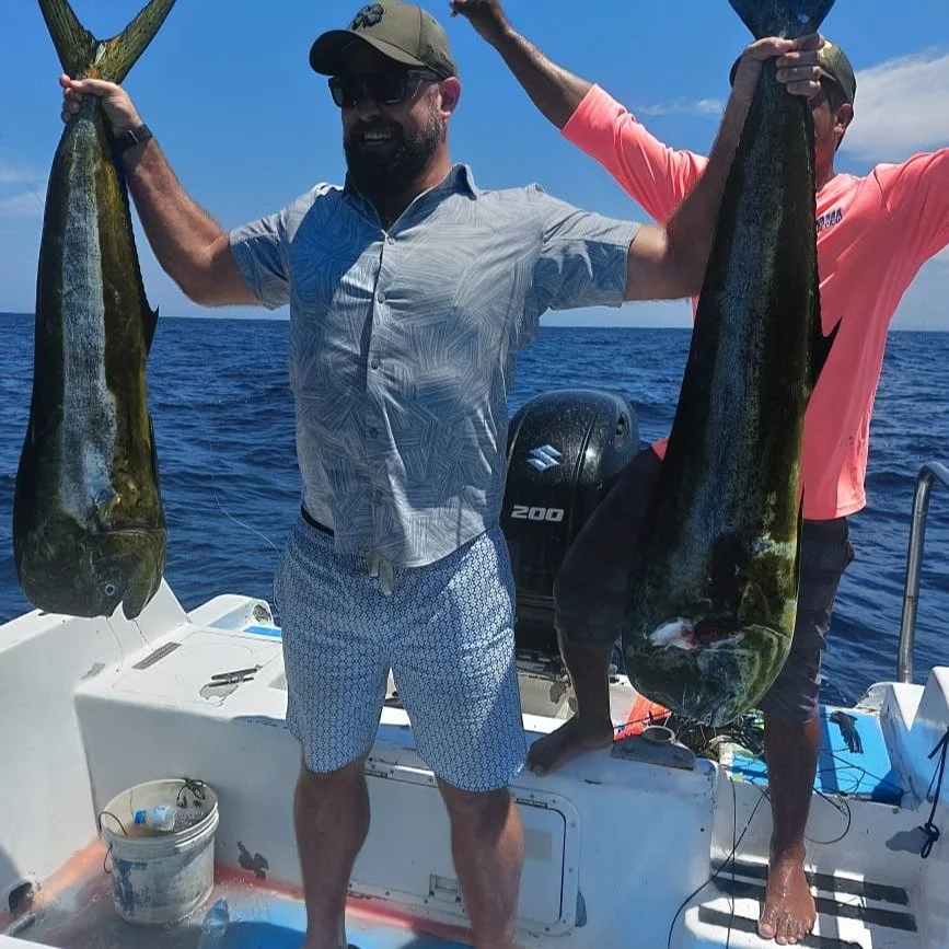 Double the fish, double the fun