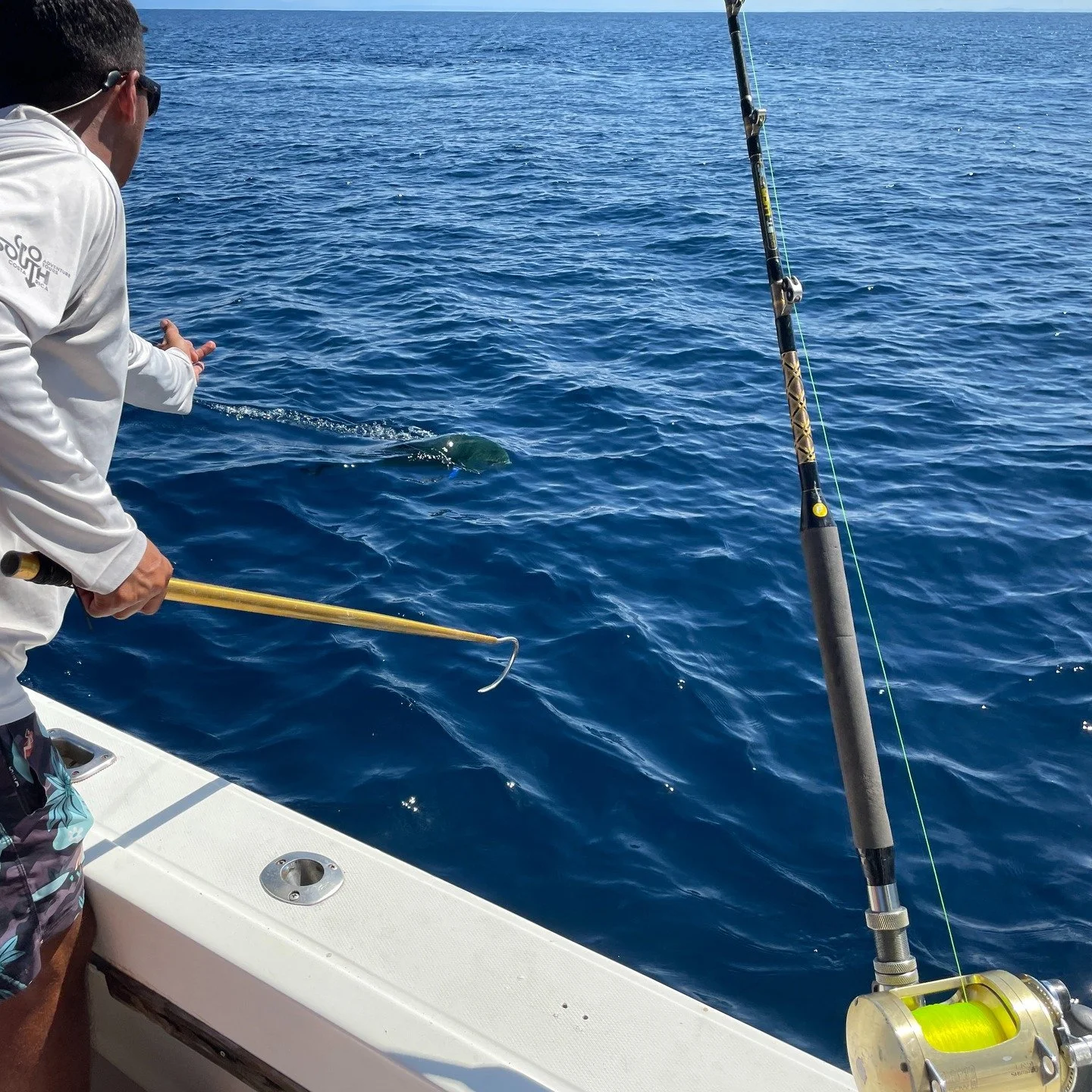 Bringing in a catch!