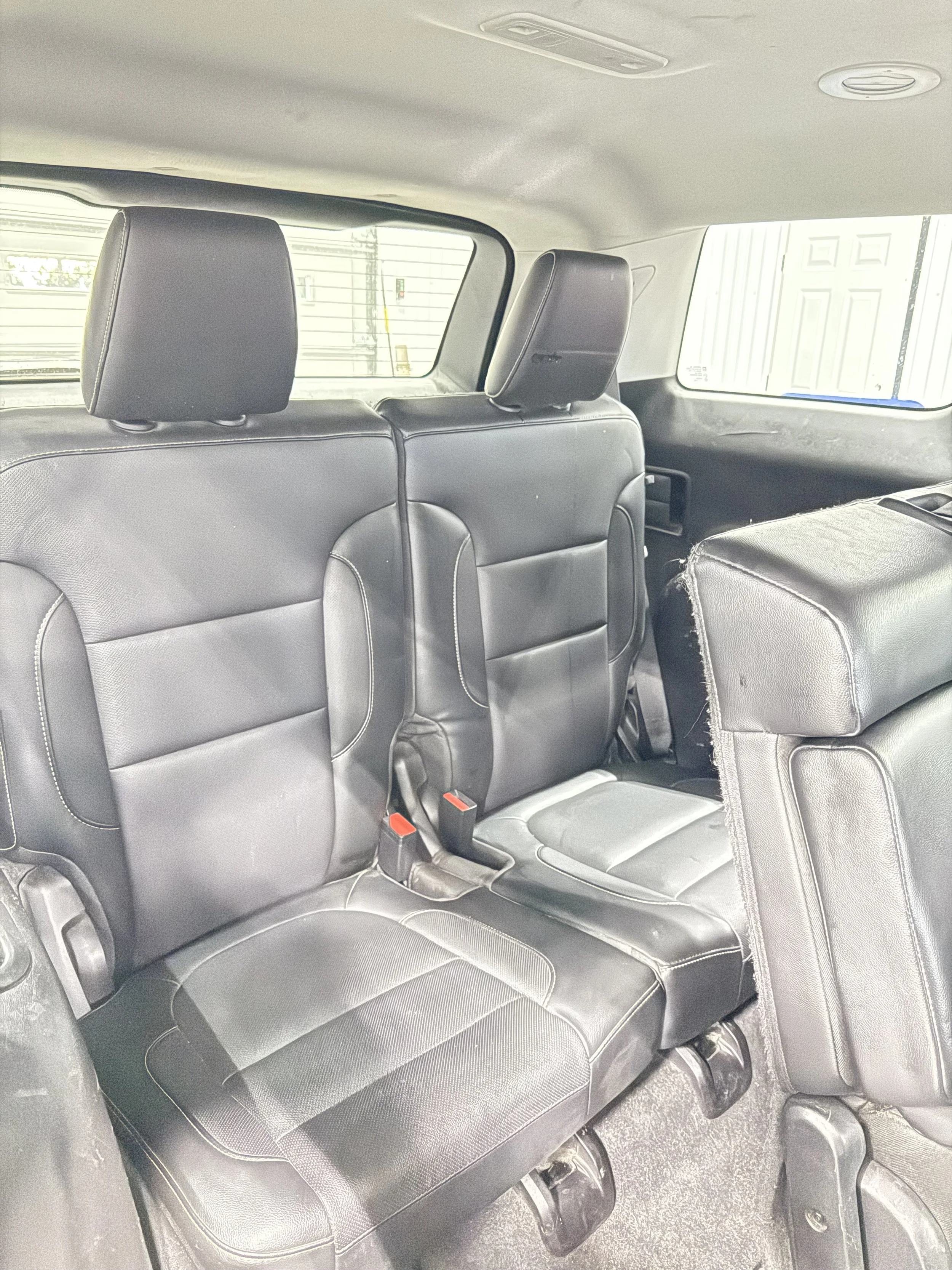 IMG_8365.jpeg